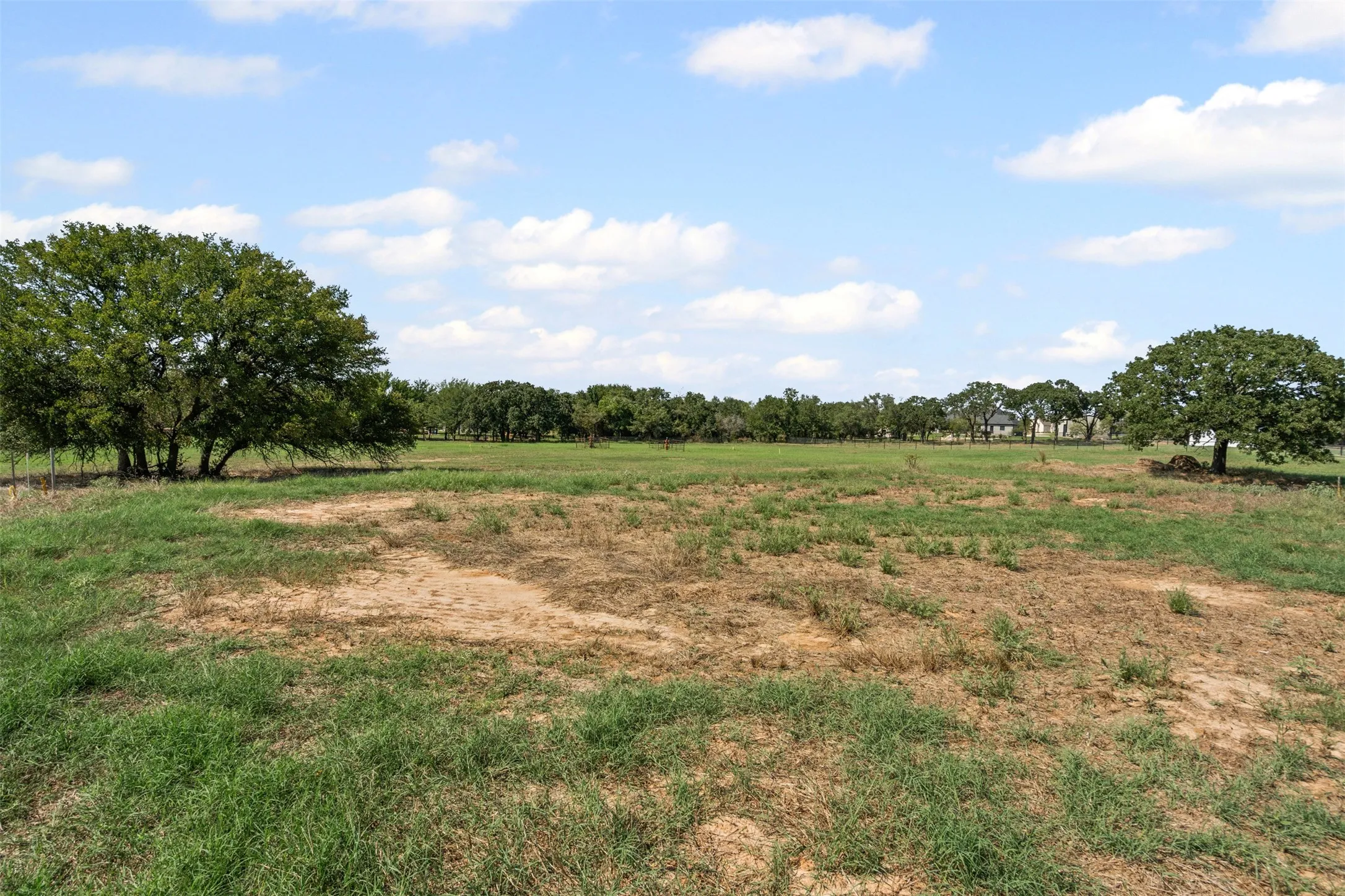 Mature scattered trees growing in Sandy Loam soil.