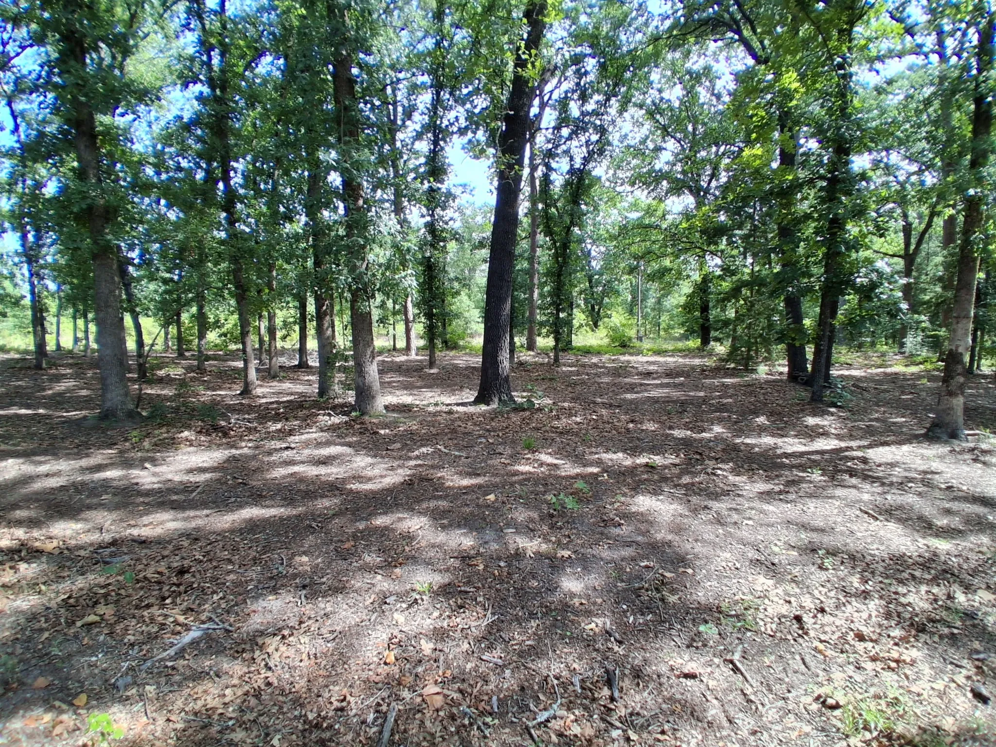 Single Family Residence For Sale in Wood County , 1325 Private Road 7905, Hawkins, Texas 75765, 3 Bedroom, 3 Bathroom, 2 Garage spaces, 2,106 Sqft, built in 2001, mls#21319885, Real Estate Agent in Hawkins, Homes For Sale in Wood county, Homes For Sale in Hawkins, Realtor in Hawkins Texas, Real Estate Brokerage Independent Realty Texas, Luminita Cordes Realtor