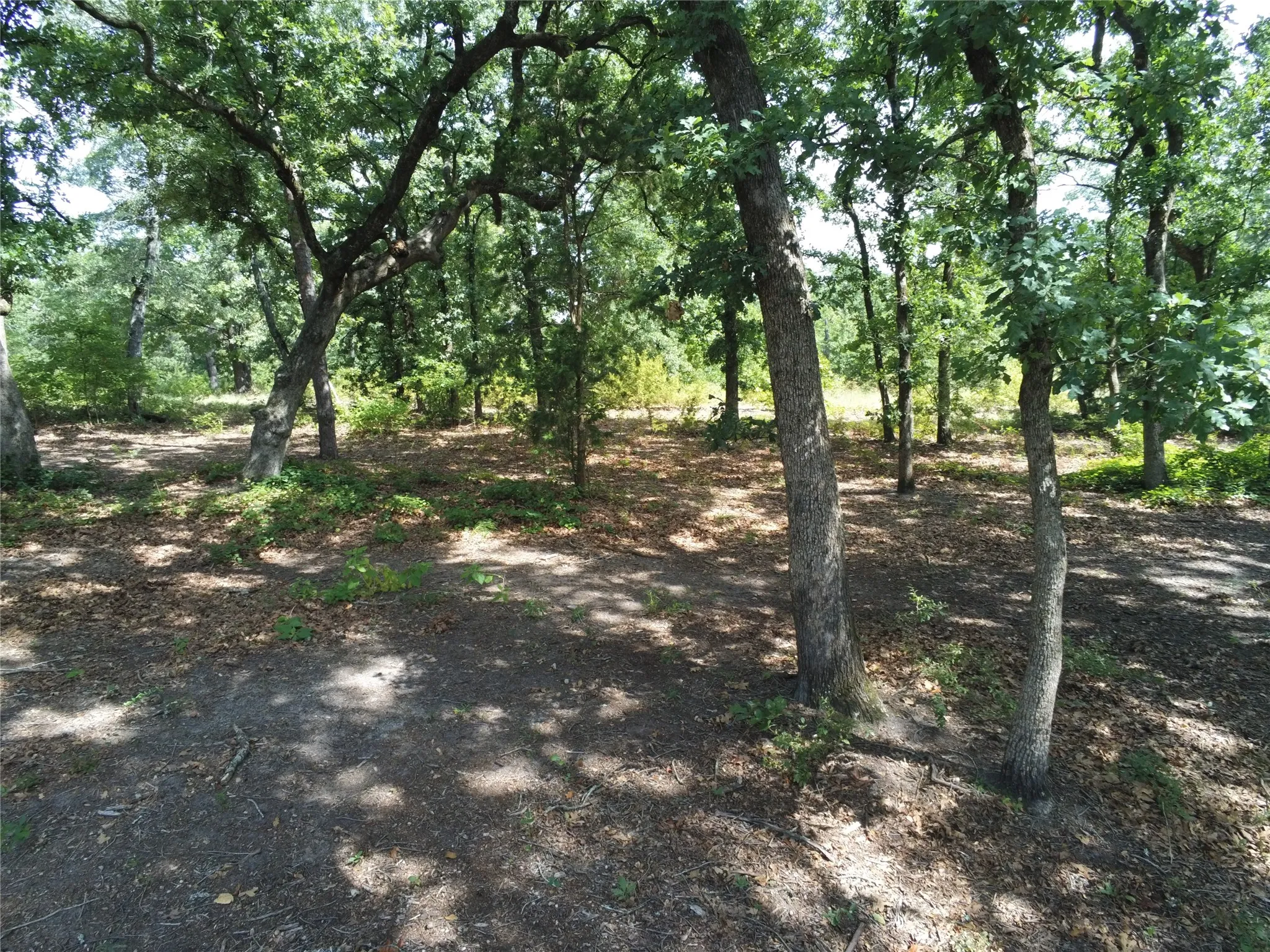 Single Family Residence For Sale in Wood County , 1325 Private Road 7905, Hawkins, Texas 75765, 3 Bedroom, 3 Bathroom, 2 Garage spaces, 2,106 Sqft, built in 2001, mls#21319885, Real Estate Agent in Hawkins, Homes For Sale in Wood county, Homes For Sale in Hawkins, Realtor in Hawkins Texas, Real Estate Brokerage Independent Realty Texas, Luminita Cordes Realtor