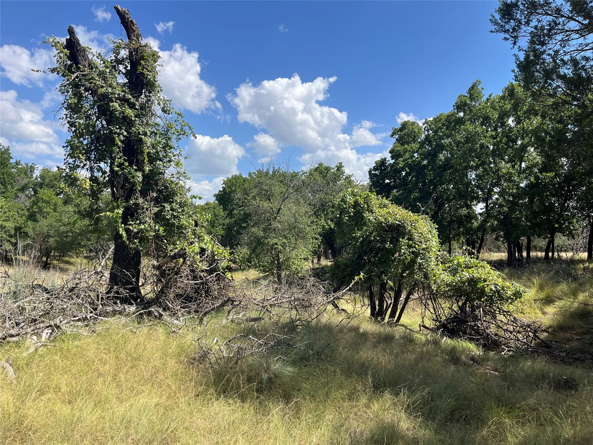 Single Family Residence For Sale in Bosque County , 895 County Road 2480, Hico, Texas 76457, 2 Bedroom, 2 Bathroom, Garage spaces, 1,312 Sqft, built in 1995, mls#21328267, Real Estate Agent in Hico, Homes For Sale in Bosque county, Homes For Sale in Hico, Realtor in Hico Texas, Real Estate Brokerage Independent Realty Texas, Luminita Cordes Realtor