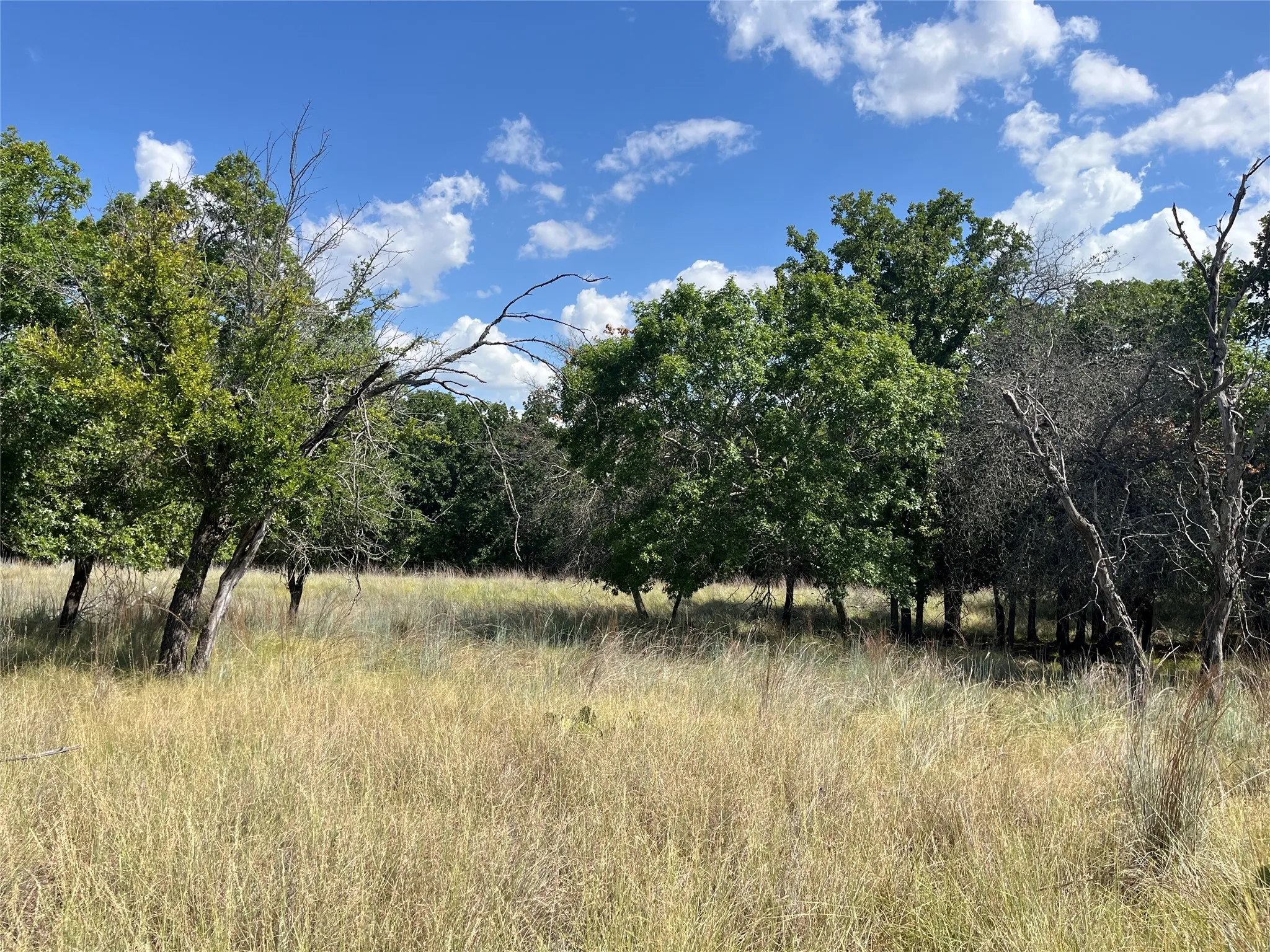 Single Family Residence For Sale in Bosque County , 895 County Road 2480, Hico, Texas 76457, 2 Bedroom, 2 Bathroom, Garage spaces, 1,312 Sqft, built in 1995, mls#21328267, Real Estate Agent in Hico, Homes For Sale in Bosque county, Homes For Sale in Hico, Realtor in Hico Texas, Real Estate Brokerage Independent Realty Texas, Luminita Cordes Realtor
