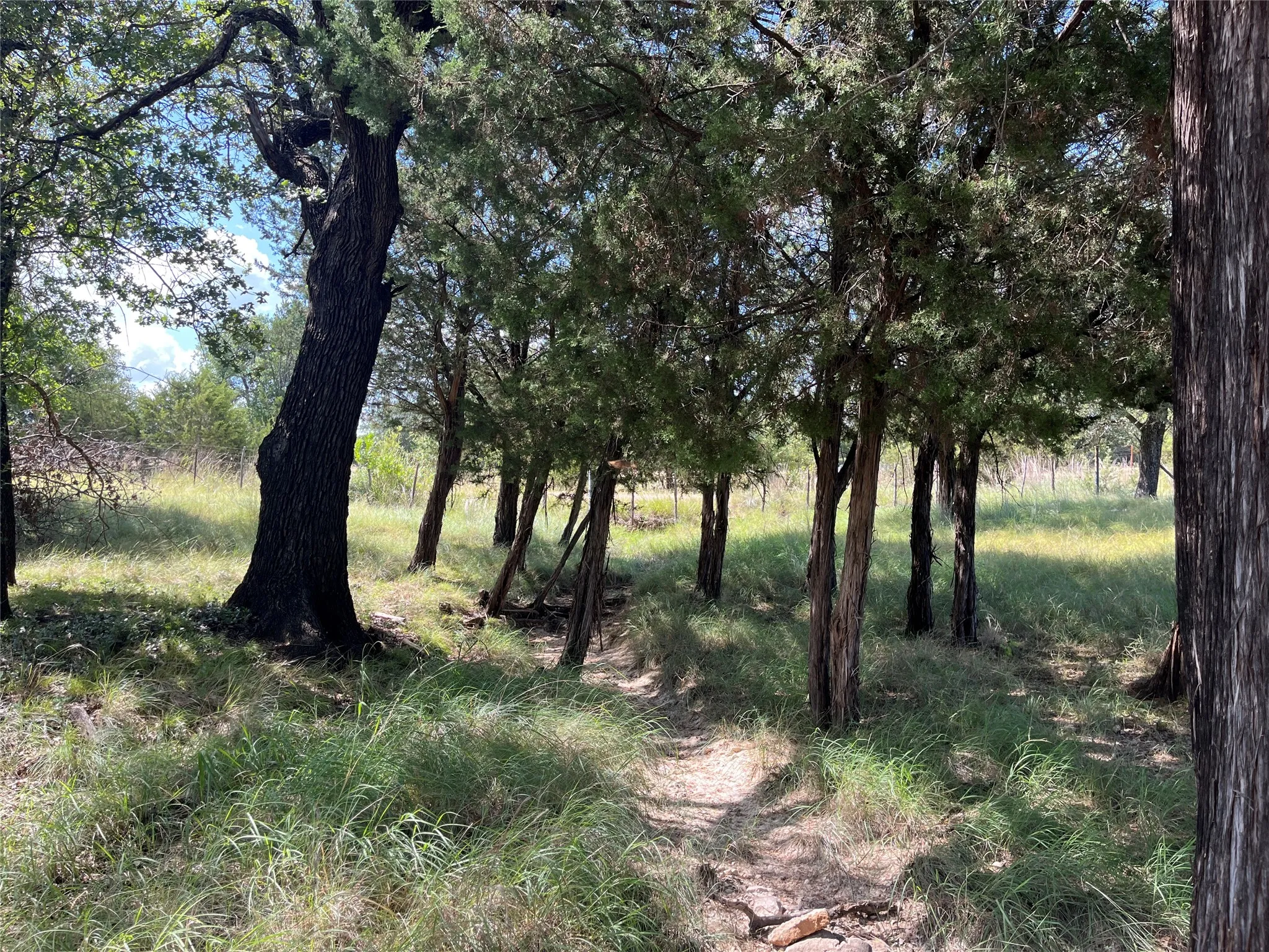 Single Family Residence For Sale in Bosque County , 895 County Road 2480, Hico, Texas 76457, 2 Bedroom, 2 Bathroom, Garage spaces, 1,312 Sqft, built in 1995, mls#21328267, Real Estate Agent in Hico, Homes For Sale in Bosque county, Homes For Sale in Hico, Realtor in Hico Texas, Real Estate Brokerage Independent Realty Texas, Luminita Cordes Realtor
