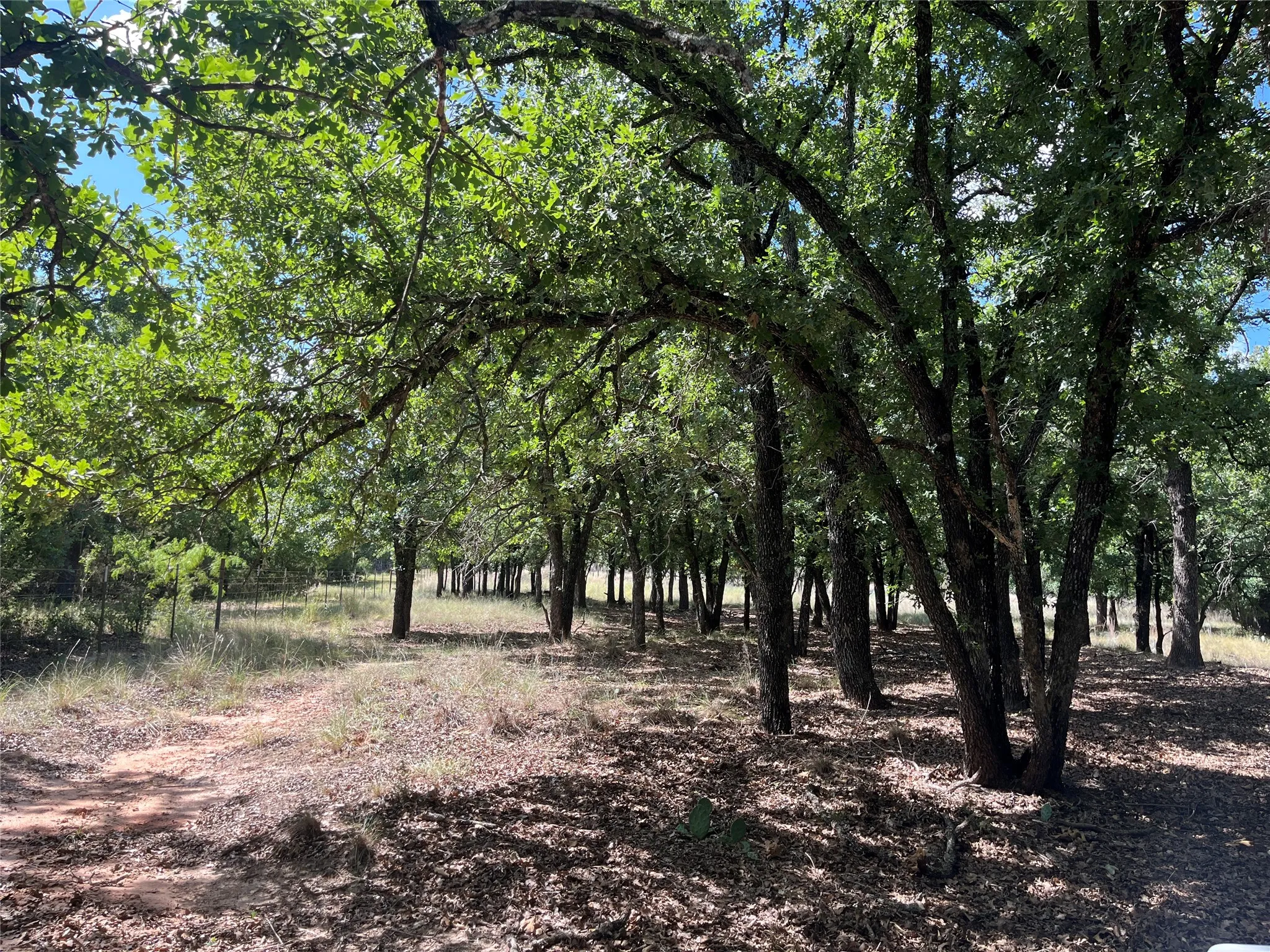 Single Family Residence For Sale in Bosque County , 895 County Road 2480, Hico, Texas 76457, 2 Bedroom, 2 Bathroom, Garage spaces, 1,312 Sqft, built in 1995, mls#21328267, Real Estate Agent in Hico, Homes For Sale in Bosque county, Homes For Sale in Hico, Realtor in Hico Texas, Real Estate Brokerage Independent Realty Texas, Luminita Cordes Realtor