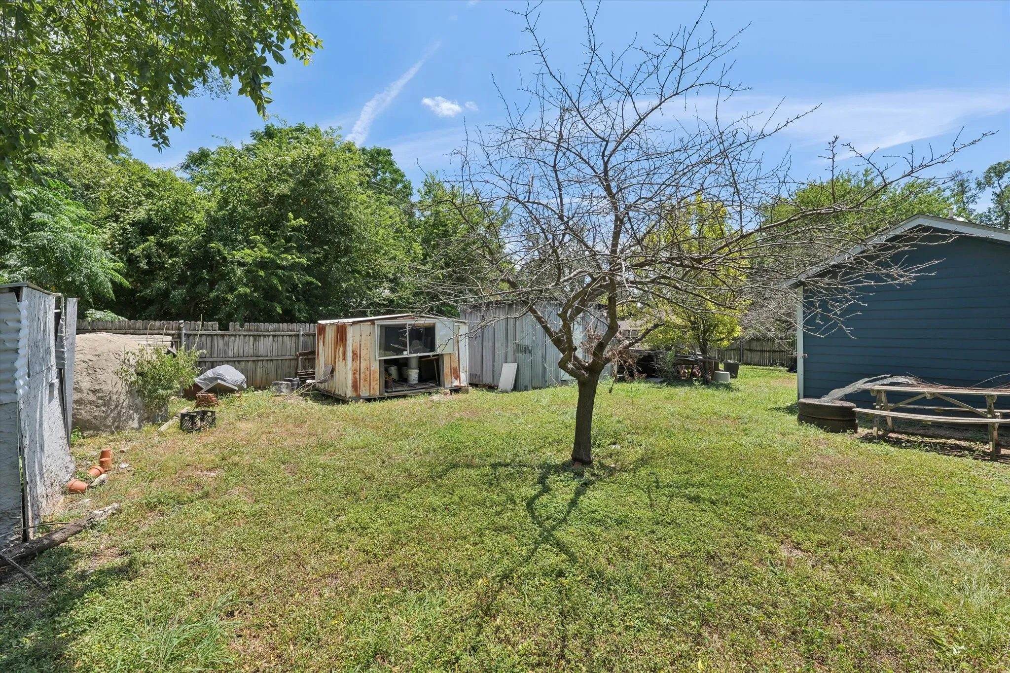 Expansive backyard featuring a mature deciduous tree, a wooden fence perimeter, and a blue siding structure with a wooden bench