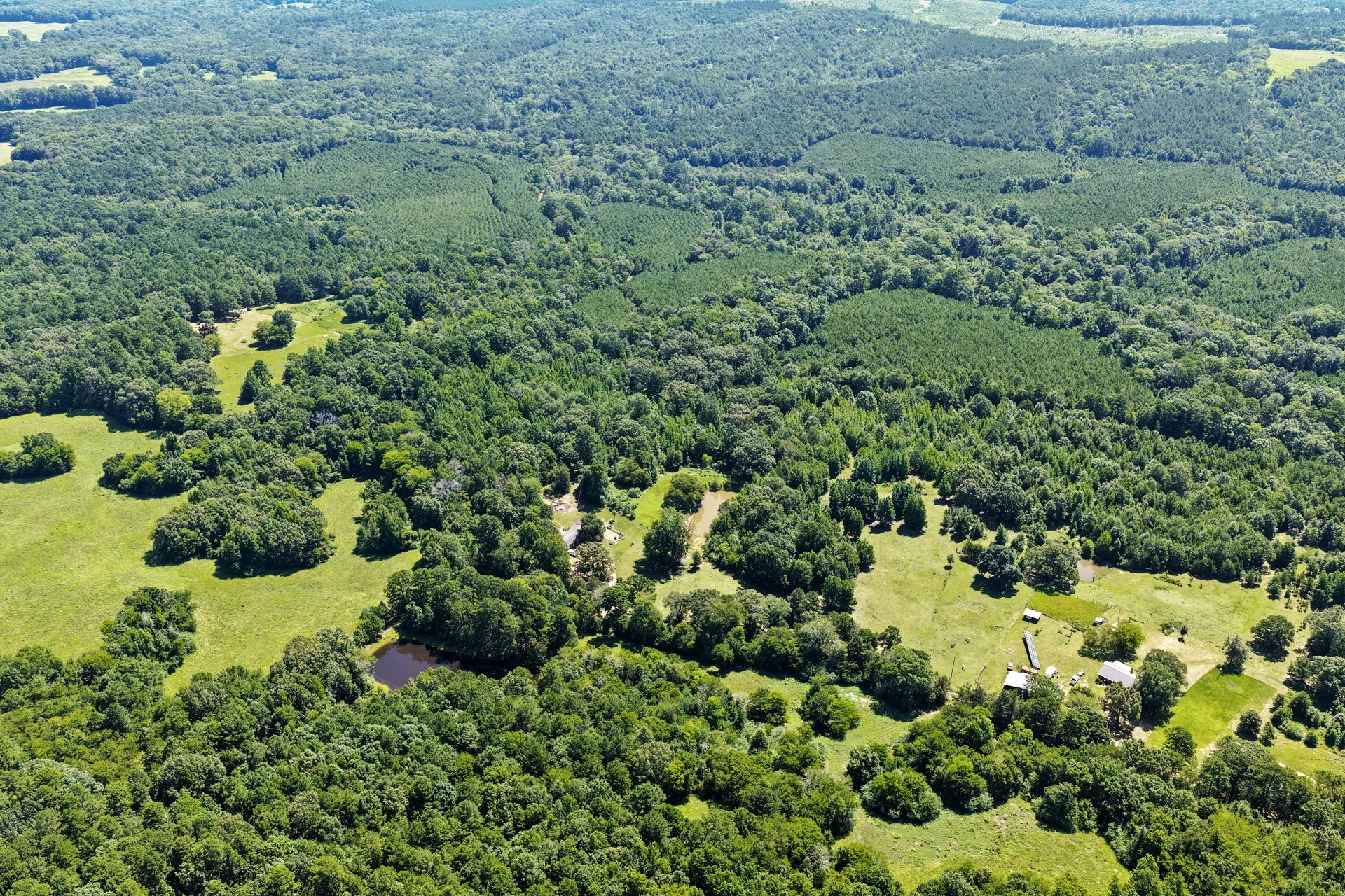 Single Family Residence For Sale in Cass County , 1710 COUNTY ROAD 2928, Hughes Springs, Texas 75656, 3 Bedroom, 2 Bathroom, 2 Garage spaces, 2,112 Sqft, built in 1980, mls#21328277, Real Estate Agent in Hughes Springs, Homes For Sale in Cass county, Homes For Sale in Hughes Springs, Realtor in Hughes Springs Texas, Real Estate Brokerage Independent Realty Texas, Luminita Cordes Realtor
