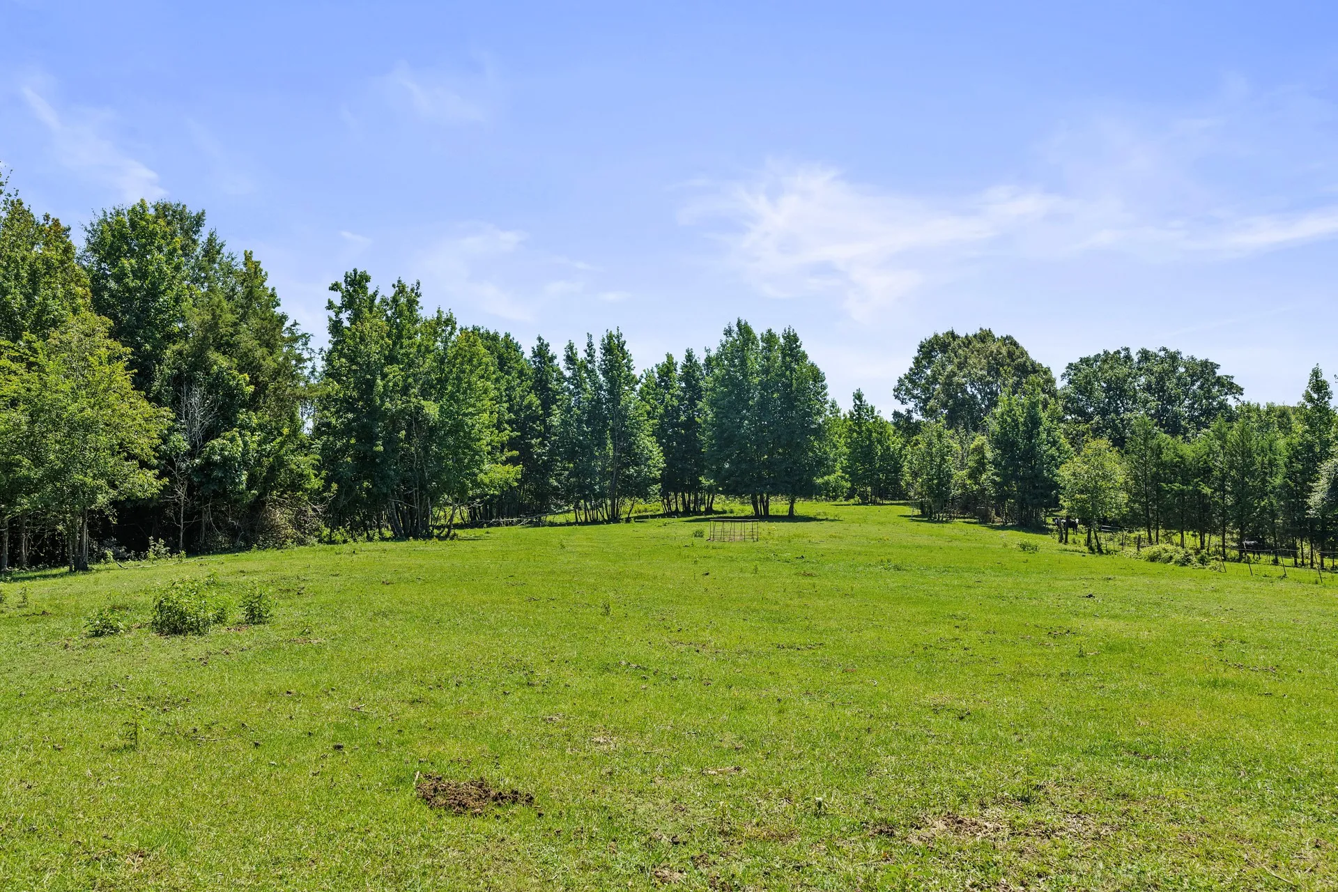 Single Family Residence For Sale in Cass County , 1710 COUNTY ROAD 2928, Hughes Springs, Texas 75656, 3 Bedroom, 2 Bathroom, 2 Garage spaces, 2,112 Sqft, built in 1980, mls#21328277, Real Estate Agent in Hughes Springs, Homes For Sale in Cass county, Homes For Sale in Hughes Springs, Realtor in Hughes Springs Texas, Real Estate Brokerage Independent Realty Texas, Luminita Cordes Realtor
