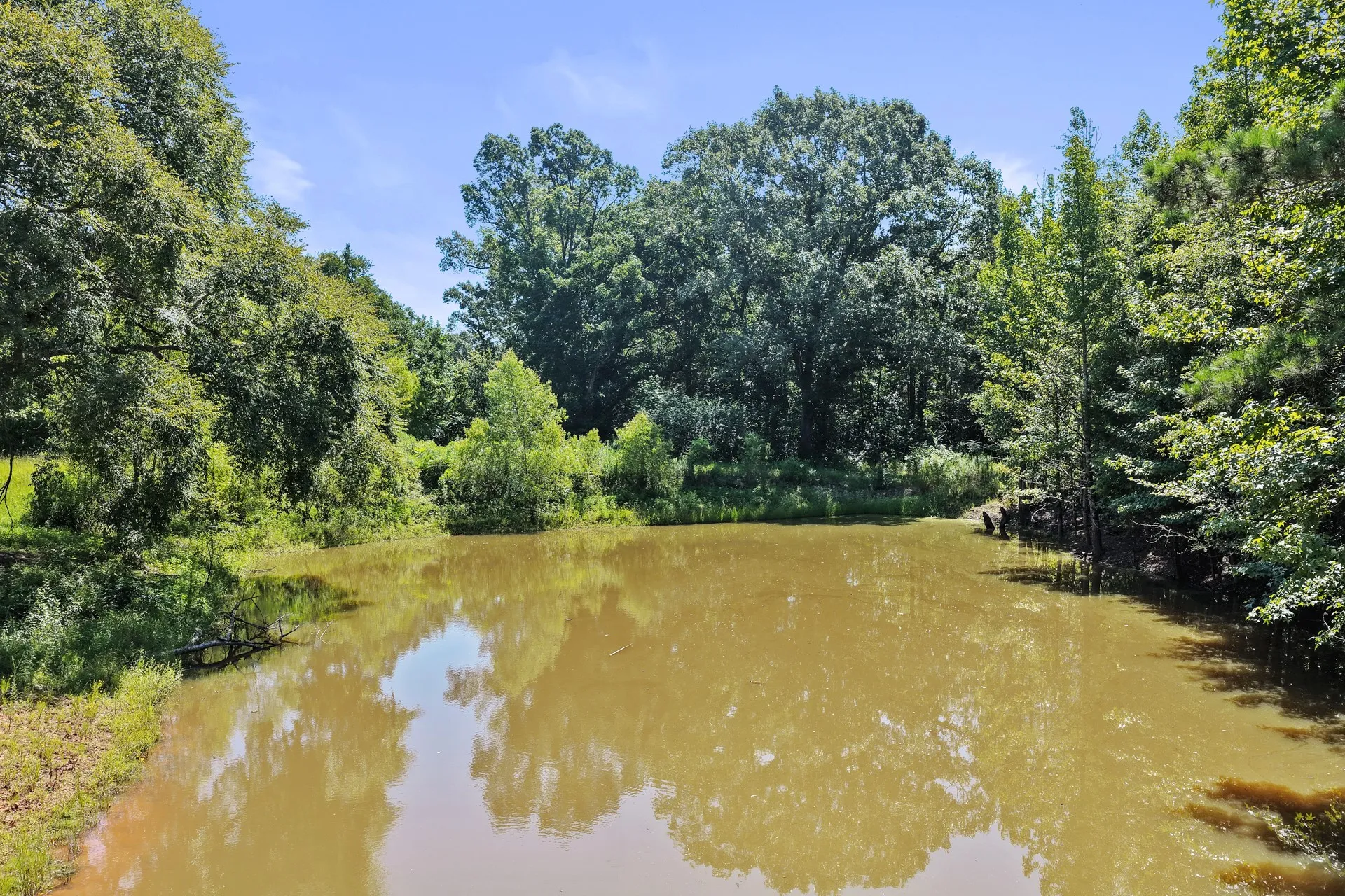 Single Family Residence For Sale in Cass County , 1710 COUNTY ROAD 2928, Hughes Springs, Texas 75656, 3 Bedroom, 2 Bathroom, 2 Garage spaces, 2,112 Sqft, built in 1980, mls#21328277, Real Estate Agent in Hughes Springs, Homes For Sale in Cass county, Homes For Sale in Hughes Springs, Realtor in Hughes Springs Texas, Real Estate Brokerage Independent Realty Texas, Luminita Cordes Realtor