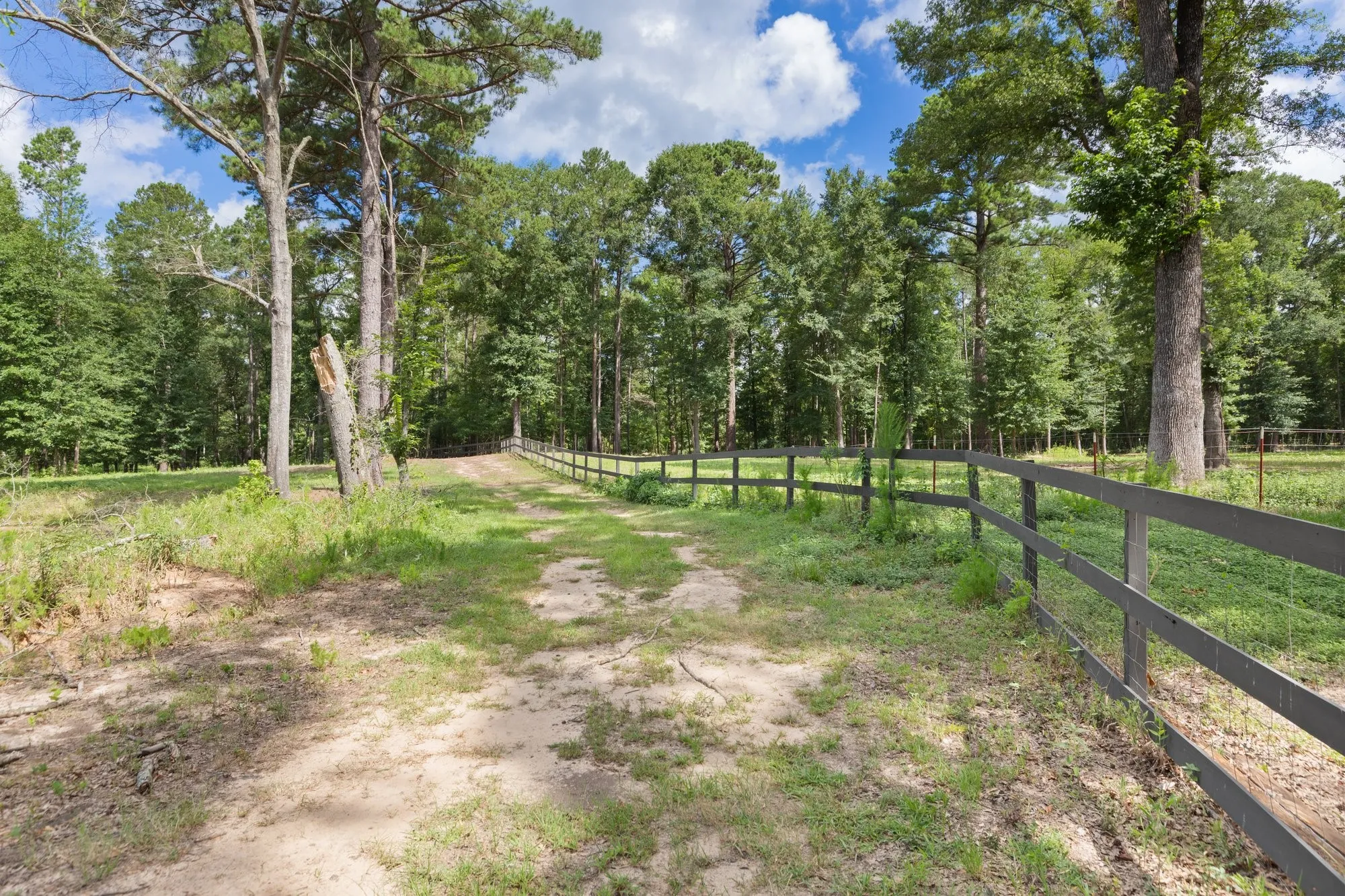 Farm For Sale in Wood County , 188 CR 4583, Winnsboro, Texas 75494, 4 Bedroom, 4 Bathroom, Garage spaces, 2,230 Sqft, built in 2022, mls#21328297, Real Estate Agent in Winnsboro, Homes For Sale in Wood county, Homes For Sale in Winnsboro, Realtor in Winnsboro Texas, Real Estate Brokerage Independent Realty Texas, Luminita Cordes Realtor
