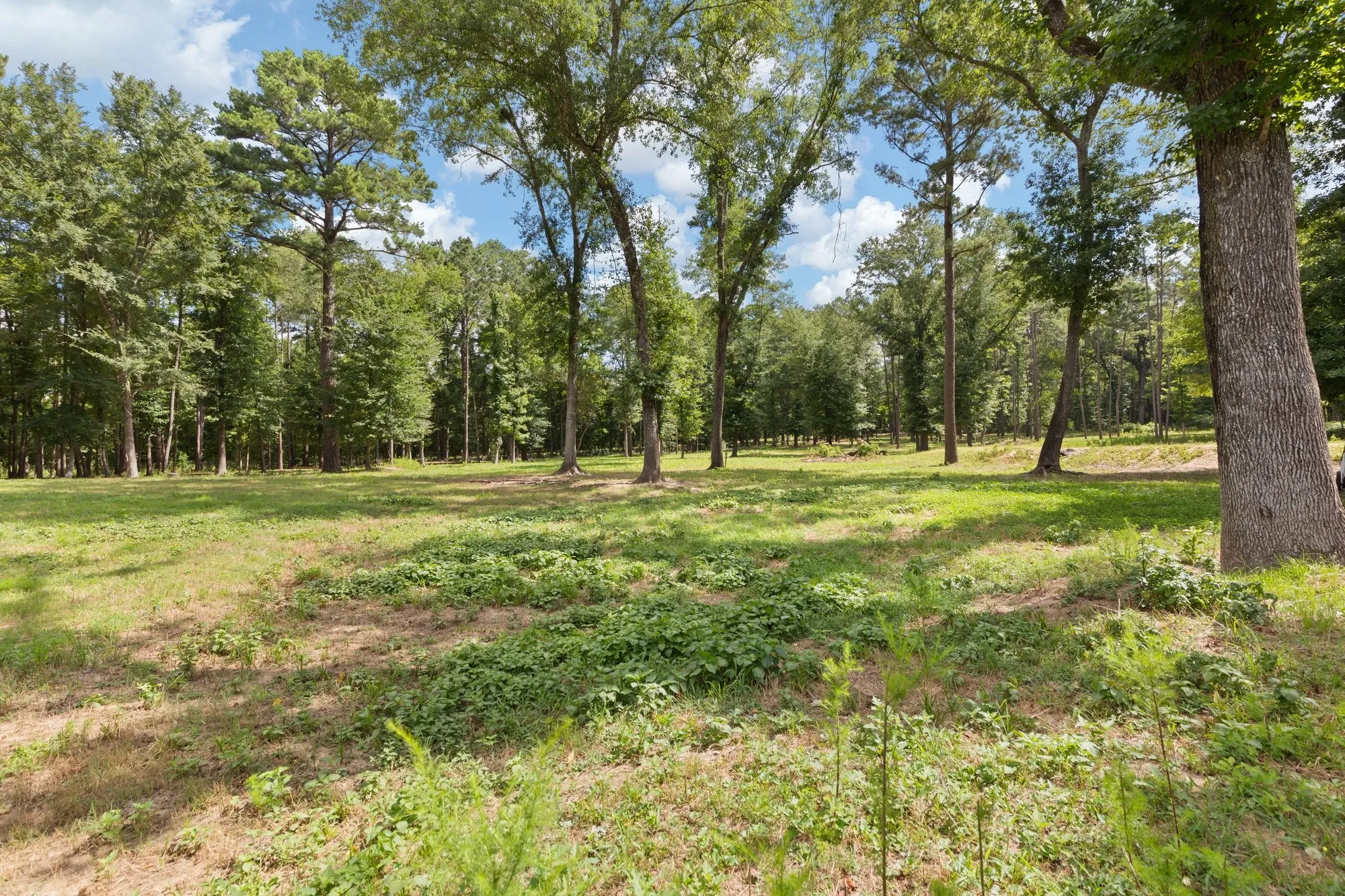 Farm For Sale in Wood County , 188 CR 4583, Winnsboro, Texas 75494, 4 Bedroom, 4 Bathroom, Garage spaces, 2,230 Sqft, built in 2022, mls#21328297, Real Estate Agent in Winnsboro, Homes For Sale in Wood county, Homes For Sale in Winnsboro, Realtor in Winnsboro Texas, Real Estate Brokerage Independent Realty Texas, Luminita Cordes Realtor
