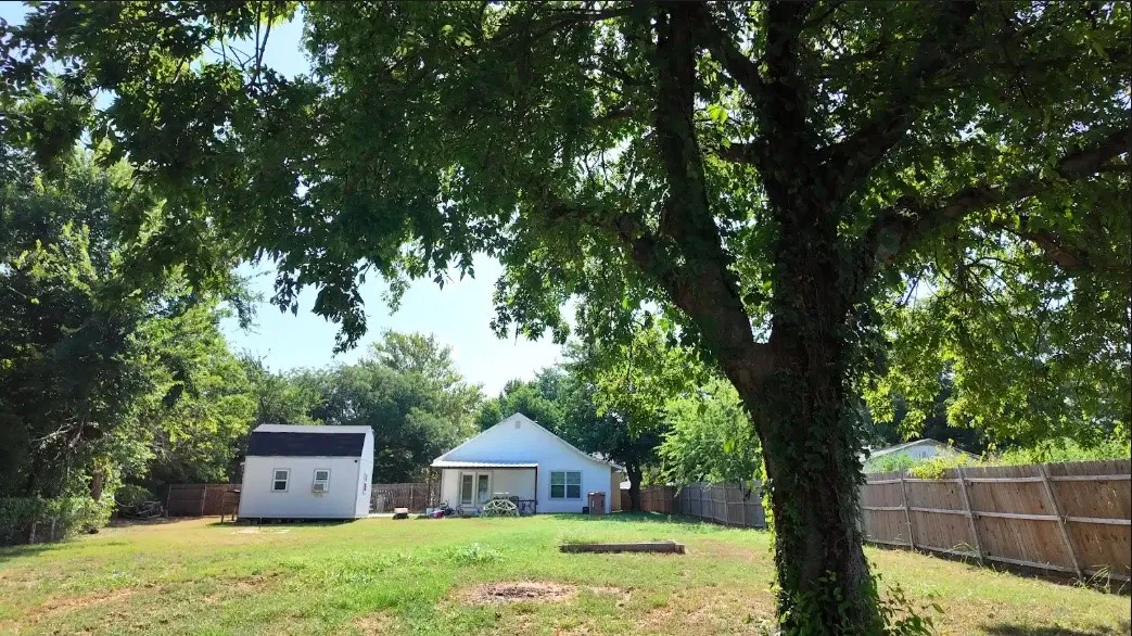 View from middle of backyard
