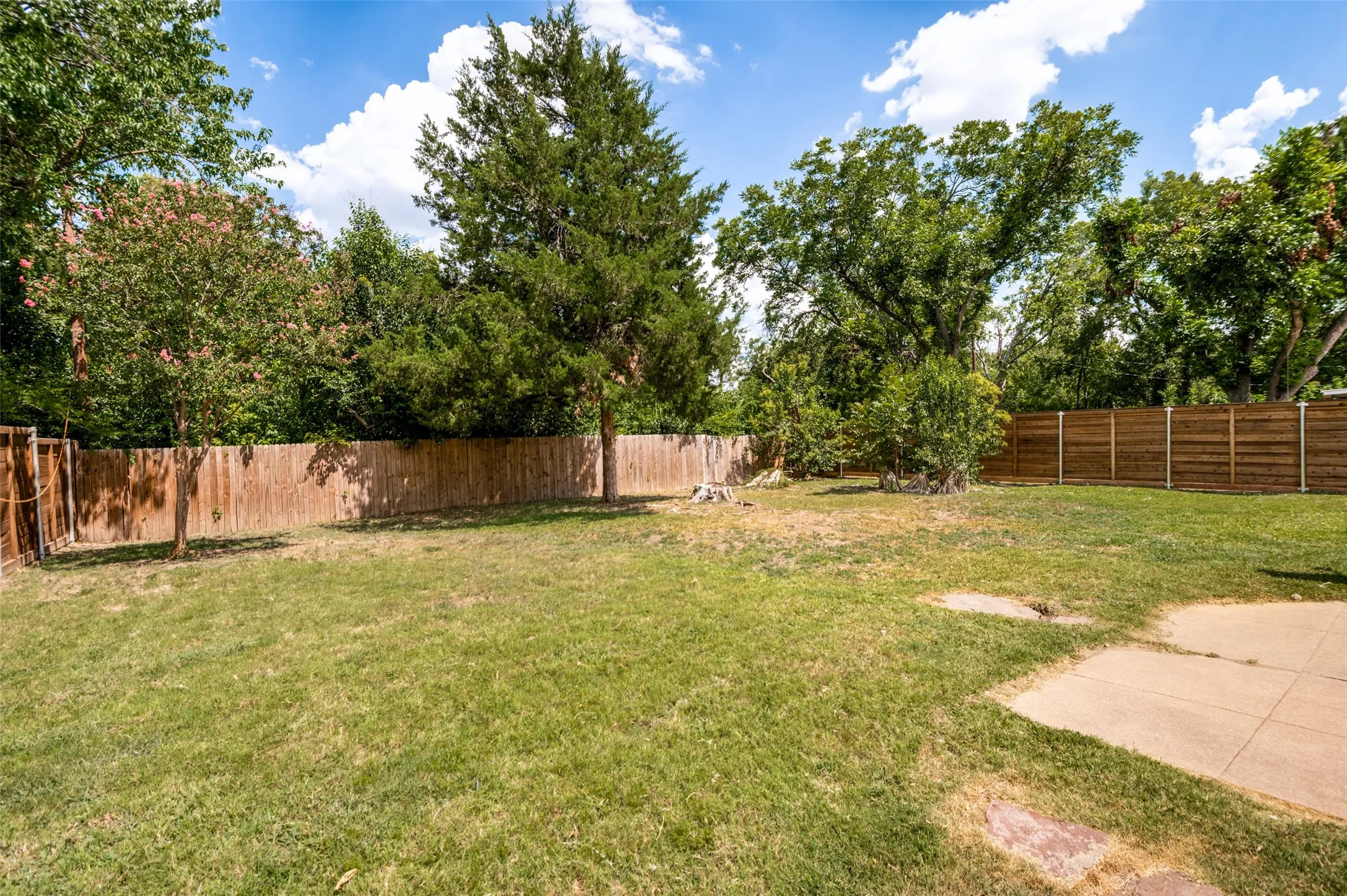 Backyard with mature trees and privacy fencing