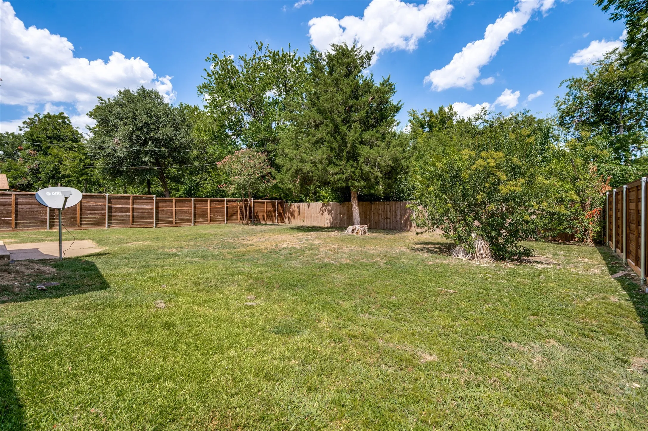Backyard with mature trees and privacy fencing
