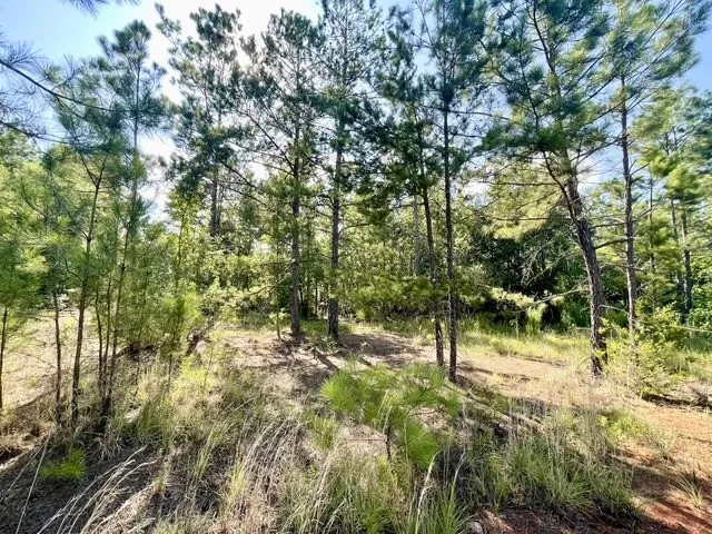 Single Family Residence For Sale in Rusk County , 8262 US Highway 84 W, Mount Enterprise, Texas 75681, 5 Bedroom, 3 Bathroom, 4 Garage spaces, 2,630 Sqft, built in 1930, mls#21328038, Real Estate Agent in Mount Enterprise, Homes For Sale in Rusk county, Homes For Sale in Mount Enterprise, Realtor in Mount Enterprise Texas, Real Estate Brokerage Independent Realty Texas, Luminita Cordes Realtor