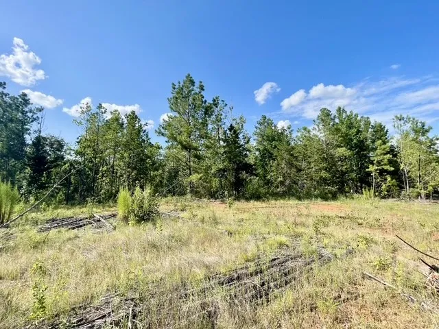 Single Family Residence For Sale in Rusk County , 8262 US Highway 84 W, Mount Enterprise, Texas 75681, 5 Bedroom, 3 Bathroom, 4 Garage spaces, 2,630 Sqft, built in 1930, mls#21328038, Real Estate Agent in Mount Enterprise, Homes For Sale in Rusk county, Homes For Sale in Mount Enterprise, Realtor in Mount Enterprise Texas, Real Estate Brokerage Independent Realty Texas, Luminita Cordes Realtor