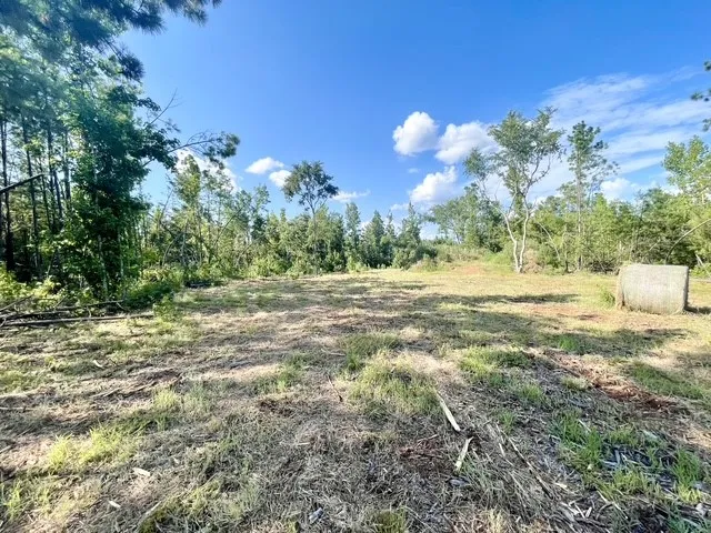 Single Family Residence For Sale in Rusk County , 8262 US Highway 84 W, Mount Enterprise, Texas 75681, 5 Bedroom, 3 Bathroom, 4 Garage spaces, 2,630 Sqft, built in 1930, mls#21328038, Real Estate Agent in Mount Enterprise, Homes For Sale in Rusk county, Homes For Sale in Mount Enterprise, Realtor in Mount Enterprise Texas, Real Estate Brokerage Independent Realty Texas, Luminita Cordes Realtor