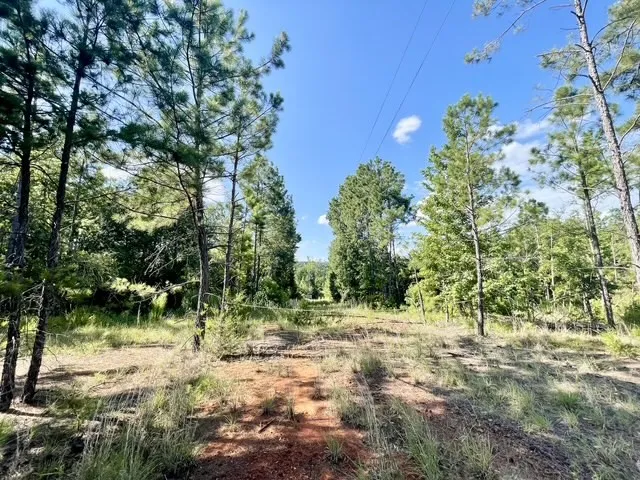 Single Family Residence For Sale in Rusk County , 8262 US Highway 84 W, Mount Enterprise, Texas 75681, 5 Bedroom, 3 Bathroom, 4 Garage spaces, 2,630 Sqft, built in 1930, mls#21328038, Real Estate Agent in Mount Enterprise, Homes For Sale in Rusk county, Homes For Sale in Mount Enterprise, Realtor in Mount Enterprise Texas, Real Estate Brokerage Independent Realty Texas, Luminita Cordes Realtor