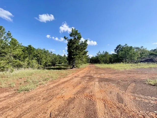Single Family Residence For Sale in Rusk County , 8262 US Highway 84 W, Mount Enterprise, Texas 75681, 5 Bedroom, 3 Bathroom, 4 Garage spaces, 2,630 Sqft, built in 1930, mls#21328038, Real Estate Agent in Mount Enterprise, Homes For Sale in Rusk county, Homes For Sale in Mount Enterprise, Realtor in Mount Enterprise Texas, Real Estate Brokerage Independent Realty Texas, Luminita Cordes Realtor