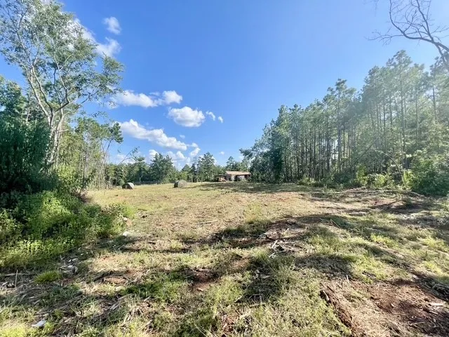 Single Family Residence For Sale in Rusk County , 8262 US Highway 84 W, Mount Enterprise, Texas 75681, 5 Bedroom, 3 Bathroom, 4 Garage spaces, 2,630 Sqft, built in 1930, mls#21328038, Real Estate Agent in Mount Enterprise, Homes For Sale in Rusk county, Homes For Sale in Mount Enterprise, Realtor in Mount Enterprise Texas, Real Estate Brokerage Independent Realty Texas, Luminita Cordes Realtor