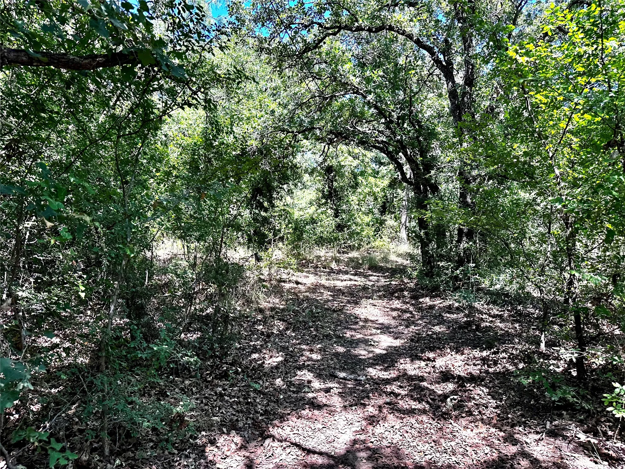 Farm For Sale in Brown County , 25300 State Highway 279, Cross Plains, Texas 76443, 2 Bedroom, 2 Bathroom, 3 Garage spaces, 1,750 Sqft, built in 2008, mls#21327493, Real Estate Agent in Cross Plains, Homes For Sale in Brown county, Homes For Sale in Cross Plains, Realtor in Cross Plains Texas, Real Estate Brokerage Independent Realty Texas, Luminita Cordes Realtor