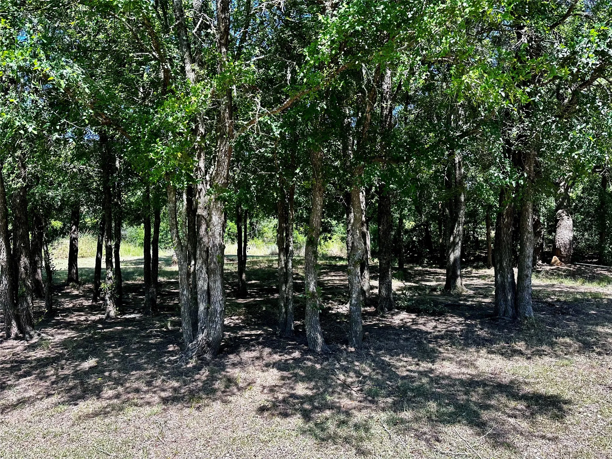 Farm For Sale in Brown County , 25300 State Highway 279, Cross Plains, Texas 76443, 2 Bedroom, 2 Bathroom, 3 Garage spaces, 1,750 Sqft, built in 2008, mls#21327493, Real Estate Agent in Cross Plains, Homes For Sale in Brown county, Homes For Sale in Cross Plains, Realtor in Cross Plains Texas, Real Estate Brokerage Independent Realty Texas, Luminita Cordes Realtor