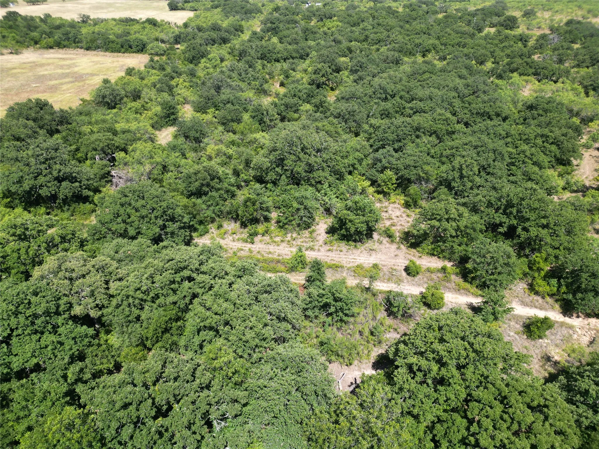 Farm For Sale in Brown County , 25300 State Highway 279, Cross Plains, Texas 76443, 2 Bedroom, 2 Bathroom, 3 Garage spaces, 1,750 Sqft, built in 2008, mls#21327493, Real Estate Agent in Cross Plains, Homes For Sale in Brown county, Homes For Sale in Cross Plains, Realtor in Cross Plains Texas, Real Estate Brokerage Independent Realty Texas, Luminita Cordes Realtor