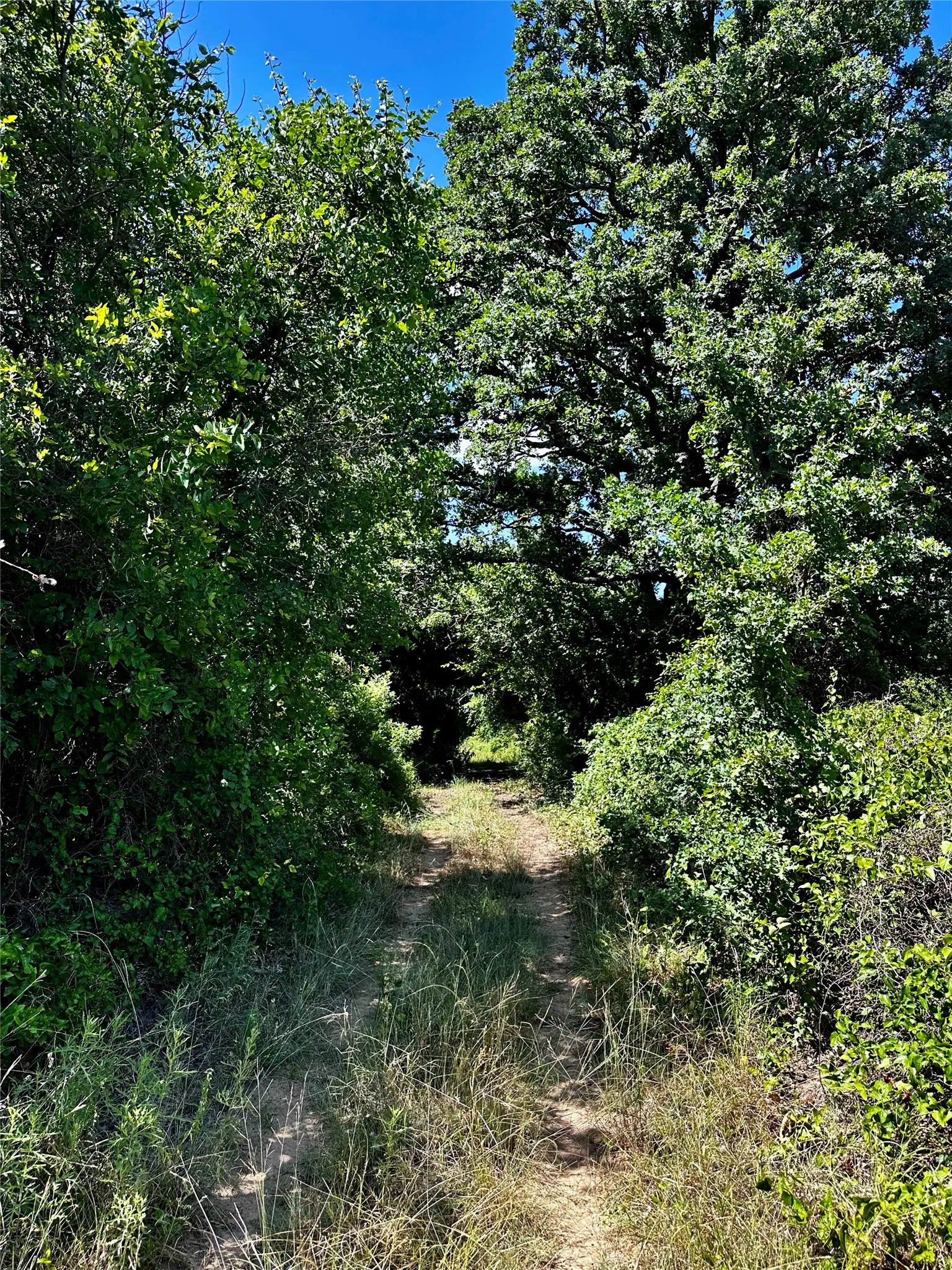Farm For Sale in Brown County , 25300 State Highway 279, Cross Plains, Texas 76443, 2 Bedroom, 2 Bathroom, 3 Garage spaces, 1,750 Sqft, built in 2008, mls#21327493, Real Estate Agent in Cross Plains, Homes For Sale in Brown county, Homes For Sale in Cross Plains, Realtor in Cross Plains Texas, Real Estate Brokerage Independent Realty Texas, Luminita Cordes Realtor