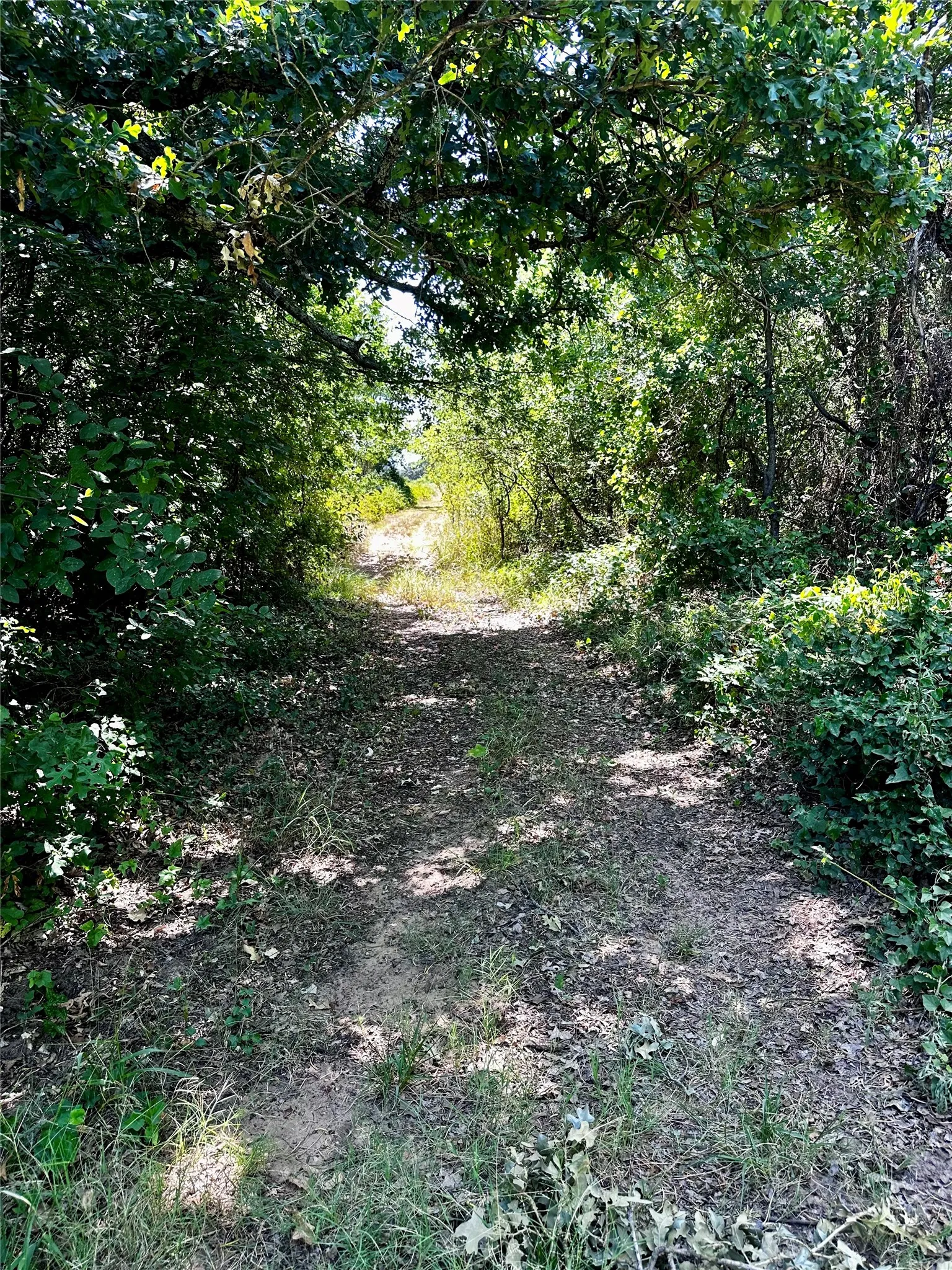 Farm For Sale in Brown County , 25300 State Highway 279, Cross Plains, Texas 76443, 2 Bedroom, 2 Bathroom, 3 Garage spaces, 1,750 Sqft, built in 2008, mls#21327493, Real Estate Agent in Cross Plains, Homes For Sale in Brown county, Homes For Sale in Cross Plains, Realtor in Cross Plains Texas, Real Estate Brokerage Independent Realty Texas, Luminita Cordes Realtor