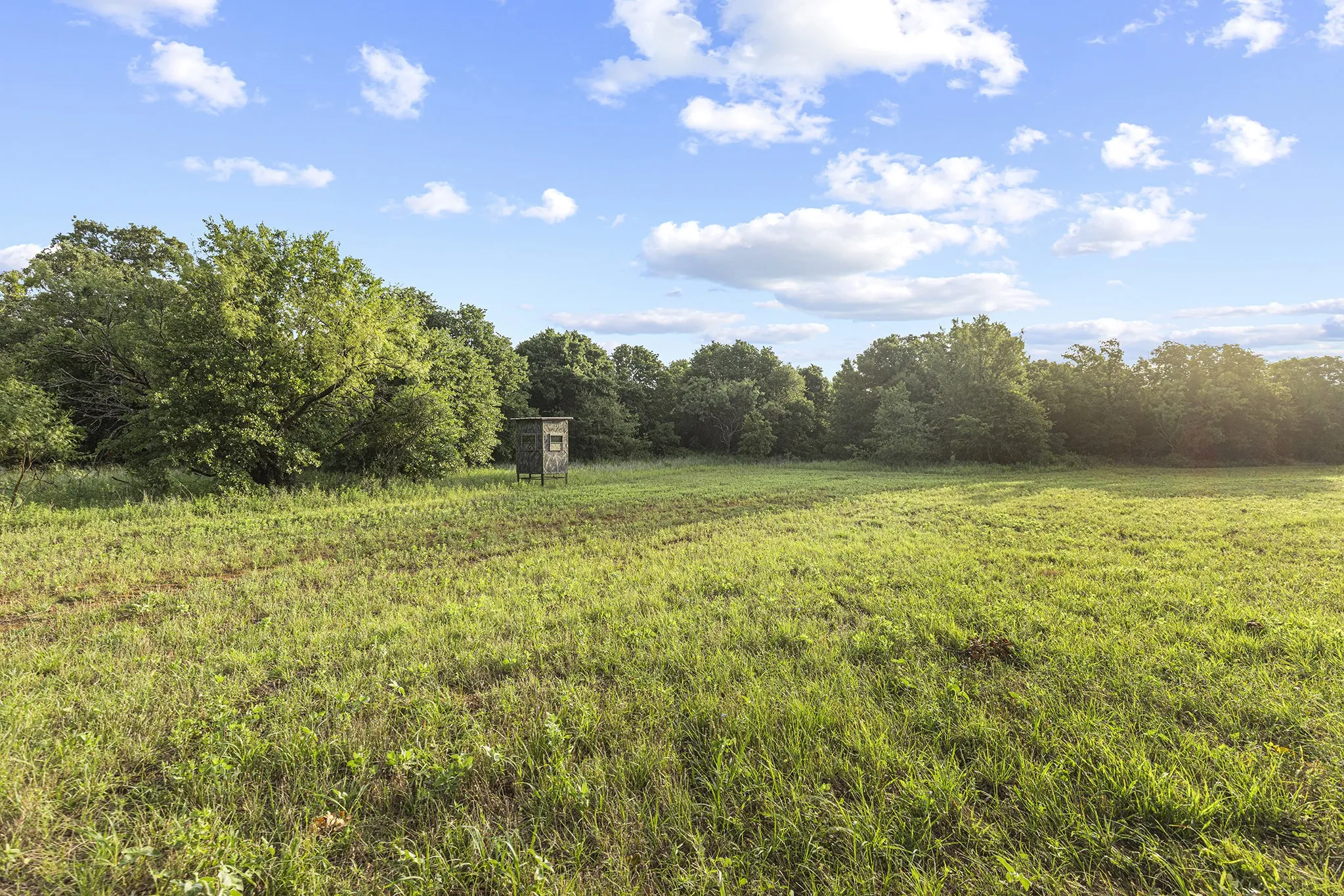 Farm For Sale in Jack County , 10371 State Hwy 148, Jacksboro, Texas 76458, 2 Bedrooms, 1 Bathroom, Garage spaces, 1,200 Sqft, built in 2019, Price $825,000, mls#21328379, Real Estate Agent in Jacksboro, Homes For Sale in Jack county, Homes For Sale in Jacksboro, Realtor in Jacksboro Texas, Real Estate Brokerage Independent Realty Texas, Luminita Cordes Realtor