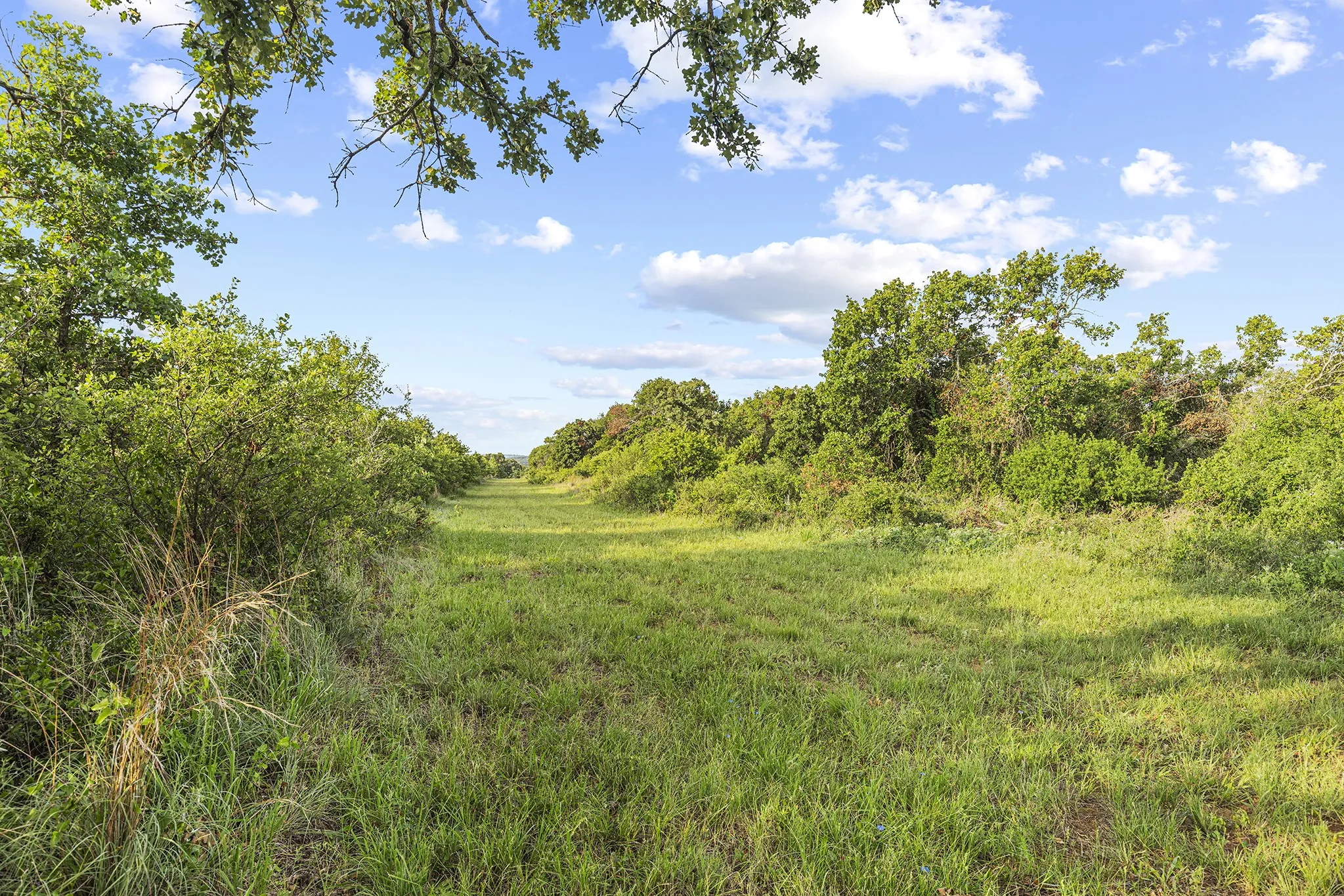 Farm For Sale in Jack County , 10371 State Hwy 148, Jacksboro, Texas 76458, 2 Bedrooms, 1 Bathroom, Garage spaces, 1,200 Sqft, built in 2019, Price $825,000, mls#21328379, Real Estate Agent in Jacksboro, Homes For Sale in Jack county, Homes For Sale in Jacksboro, Realtor in Jacksboro Texas, Real Estate Brokerage Independent Realty Texas, Luminita Cordes Realtor