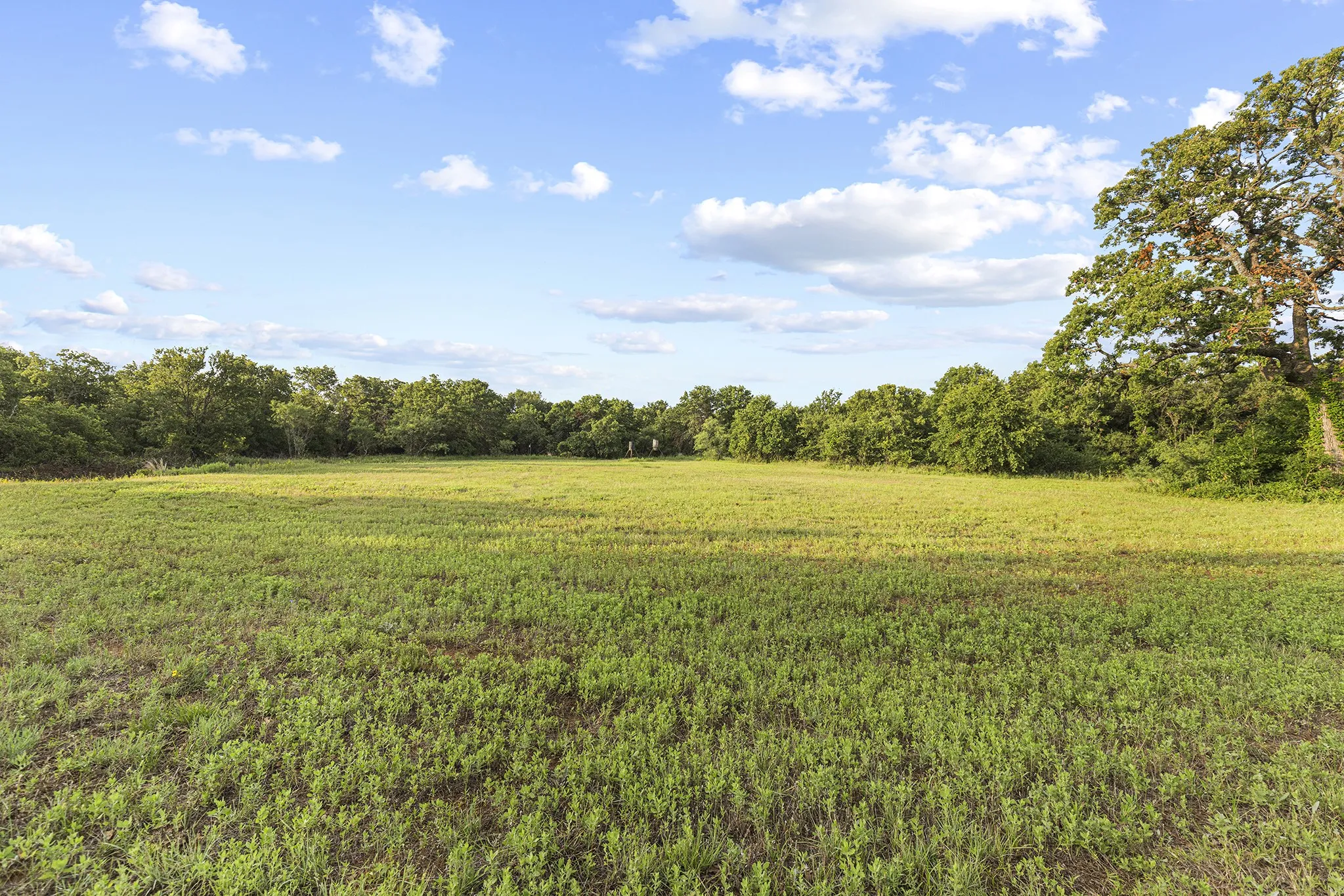 Farm For Sale in Jack County , 10371 State Hwy 148, Jacksboro, Texas 76458, 2 Bedrooms, 1 Bathroom, Garage spaces, 1,200 Sqft, built in 2019, Price $825,000, mls#21328379, Real Estate Agent in Jacksboro, Homes For Sale in Jack county, Homes For Sale in Jacksboro, Realtor in Jacksboro Texas, Real Estate Brokerage Independent Realty Texas, Luminita Cordes Realtor