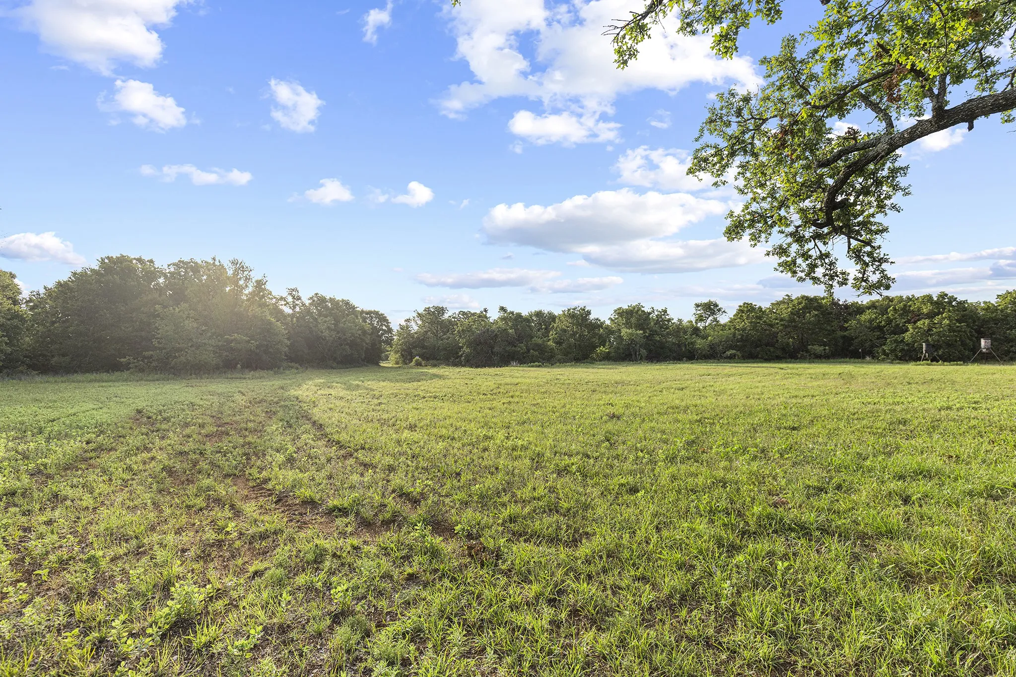 Farm For Sale in Jack County , 10371 State Hwy 148, Jacksboro, Texas 76458, 2 Bedrooms, 1 Bathroom, Garage spaces, 1,200 Sqft, built in 2019, Price $825,000, mls#21328379, Real Estate Agent in Jacksboro, Homes For Sale in Jack county, Homes For Sale in Jacksboro, Realtor in Jacksboro Texas, Real Estate Brokerage Independent Realty Texas, Luminita Cordes Realtor