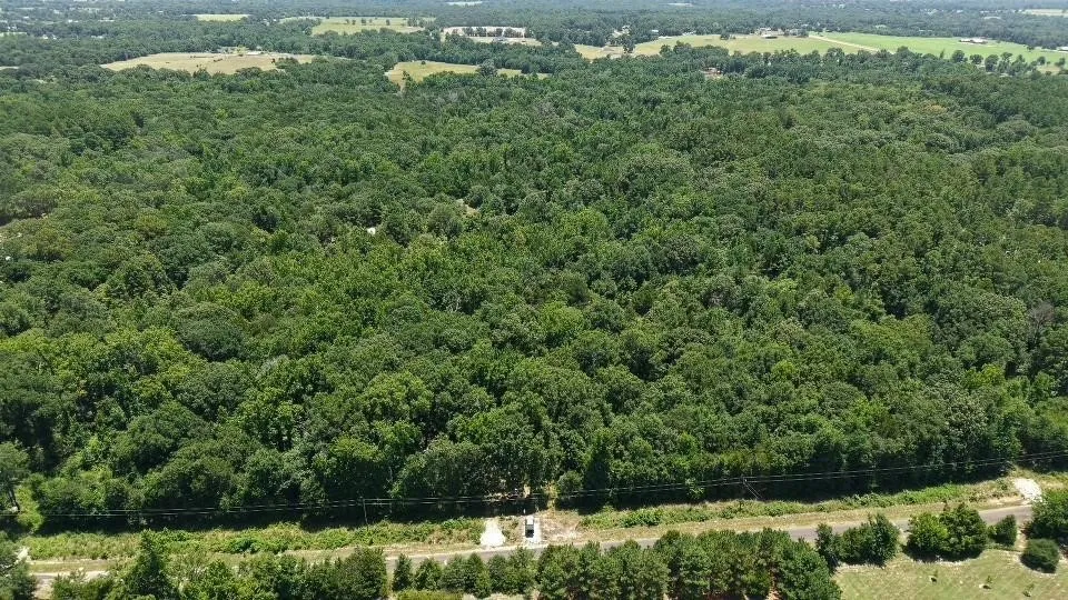 Unimproved Land For Sale in Van Zandt County , 1595 County Road 4112, Canton, Texas 75103, 0, 0, Garage spaces, 0 Sqft, built in 0, Price $199,999, mls#21328362, Real Estate Agent in Canton, Homes For Sale in Van Zandt county, Homes For Sale in Canton, Realtor in Canton Texas, Real Estate Brokerage Independent Realty Texas, Luminita Cordes Realtor