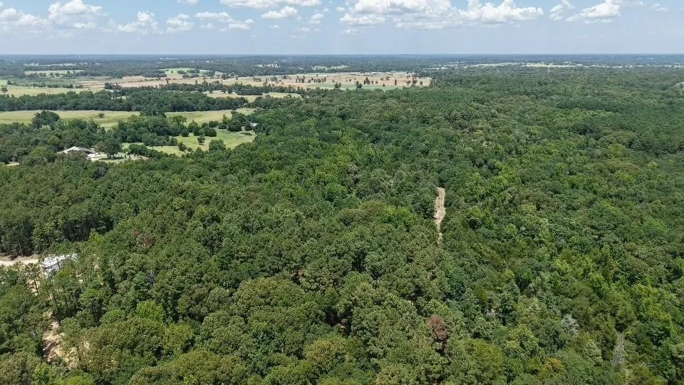 Unimproved Land For Sale in Van Zandt County , 1595 County Road 4112, Canton, Texas 75103, 0, 0, Garage spaces, 0 Sqft, built in 0, Price $199,999, mls#21328362, Real Estate Agent in Canton, Homes For Sale in Van Zandt county, Homes For Sale in Canton, Realtor in Canton Texas, Real Estate Brokerage Independent Realty Texas, Luminita Cordes Realtor
