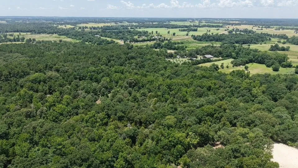 Unimproved Land For Sale in Van Zandt County , 1595 County Road 4112, Canton, Texas 75103, 0, 0, Garage spaces, 0 Sqft, built in 0, Price $199,999, mls#21328362, Real Estate Agent in Canton, Homes For Sale in Van Zandt county, Homes For Sale in Canton, Realtor in Canton Texas, Real Estate Brokerage Independent Realty Texas, Luminita Cordes Realtor