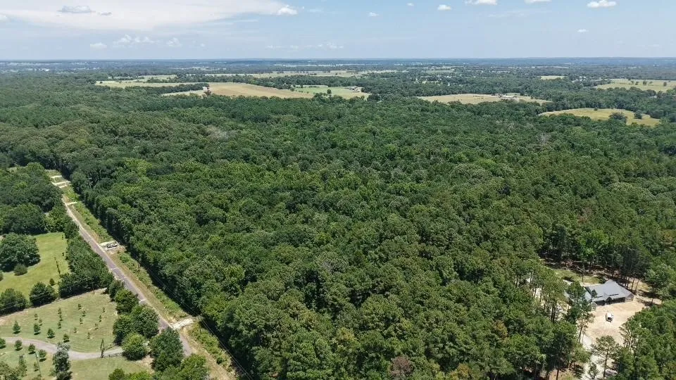 Unimproved Land For Sale in Van Zandt County , 1595 County Road 4112, Canton, Texas 75103, 0, 0, Garage spaces, 0 Sqft, built in 0, Price $199,999, mls#21328362, Real Estate Agent in Canton, Homes For Sale in Van Zandt county, Homes For Sale in Canton, Realtor in Canton Texas, Real Estate Brokerage Independent Realty Texas, Luminita Cordes Realtor
