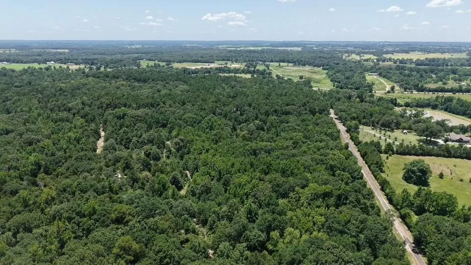 Unimproved Land For Sale in Van Zandt County , 1595 County Road 4112, Canton, Texas 75103, 0, 0, Garage spaces, 0 Sqft, built in 0, Price $199,999, mls#21328362, Real Estate Agent in Canton, Homes For Sale in Van Zandt county, Homes For Sale in Canton, Realtor in Canton Texas, Real Estate Brokerage Independent Realty Texas, Luminita Cordes Realtor