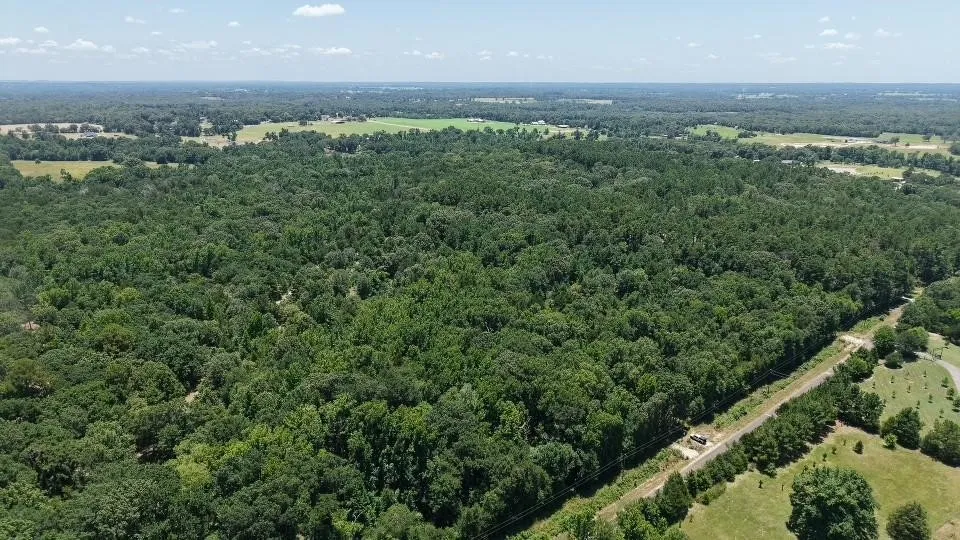 Unimproved Land For Sale in Van Zandt County , 1595 County Road 4112, Canton, Texas 75103, 0, 0, Garage spaces, 0 Sqft, built in 0, Price $199,999, mls#21328362, Real Estate Agent in Canton, Homes For Sale in Van Zandt county, Homes For Sale in Canton, Realtor in Canton Texas, Real Estate Brokerage Independent Realty Texas, Luminita Cordes Realtor