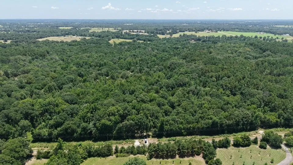 Unimproved Land For Sale in Van Zandt County , 1595 County Road 4112, Canton, Texas 75103, 0, 0, Garage spaces, 0 Sqft, built in 0, Price $199,999, mls#21328362, Real Estate Agent in Canton, Homes For Sale in Van Zandt county, Homes For Sale in Canton, Realtor in Canton Texas, Real Estate Brokerage Independent Realty Texas, Luminita Cordes Realtor