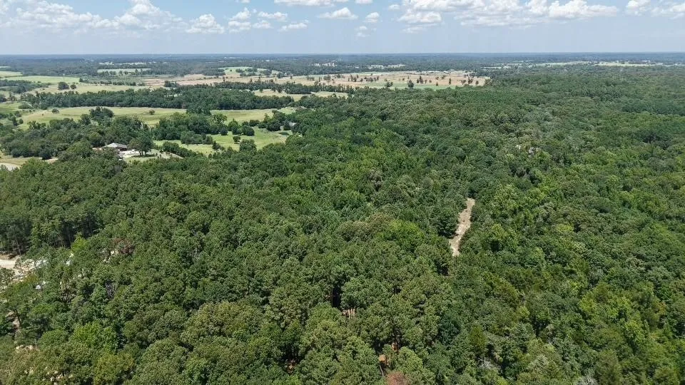 Unimproved Land For Sale in Van Zandt County , 1595 County Road 4112, Canton, Texas 75103, 0, 0, Garage spaces, 0 Sqft, built in 0, Price $199,999, mls#21328362, Real Estate Agent in Canton, Homes For Sale in Van Zandt county, Homes For Sale in Canton, Realtor in Canton Texas, Real Estate Brokerage Independent Realty Texas, Luminita Cordes Realtor