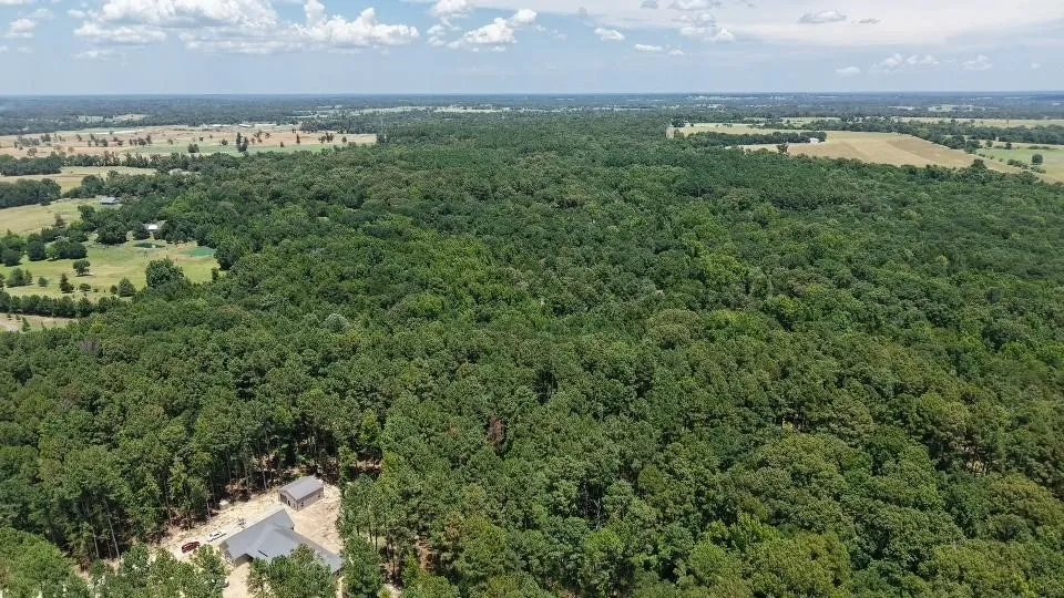 Unimproved Land For Sale in Van Zandt County , 1595 County Road 4112, Canton, Texas 75103, 0, 0, Garage spaces, 0 Sqft, built in 0, Price $199,999, mls#21328362, Real Estate Agent in Canton, Homes For Sale in Van Zandt county, Homes For Sale in Canton, Realtor in Canton Texas, Real Estate Brokerage Independent Realty Texas, Luminita Cordes Realtor