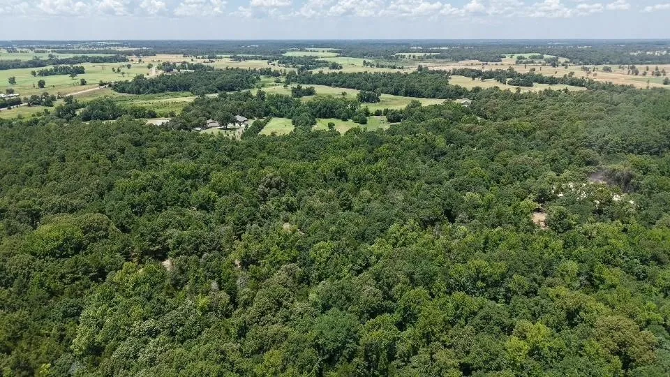 Unimproved Land For Sale in Van Zandt County , 1595 County Road 4112, Canton, Texas 75103, 0, 0, Garage spaces, 0 Sqft, built in 0, Price $199,999, mls#21328362, Real Estate Agent in Canton, Homes For Sale in Van Zandt county, Homes For Sale in Canton, Realtor in Canton Texas, Real Estate Brokerage Independent Realty Texas, Luminita Cordes Realtor