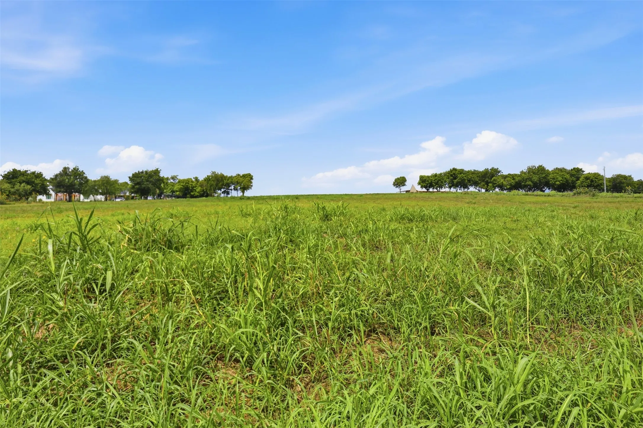 Land view from road