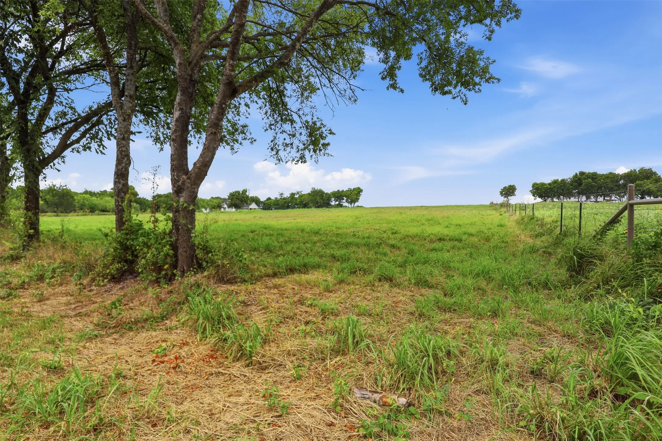 From paved road looking at lot