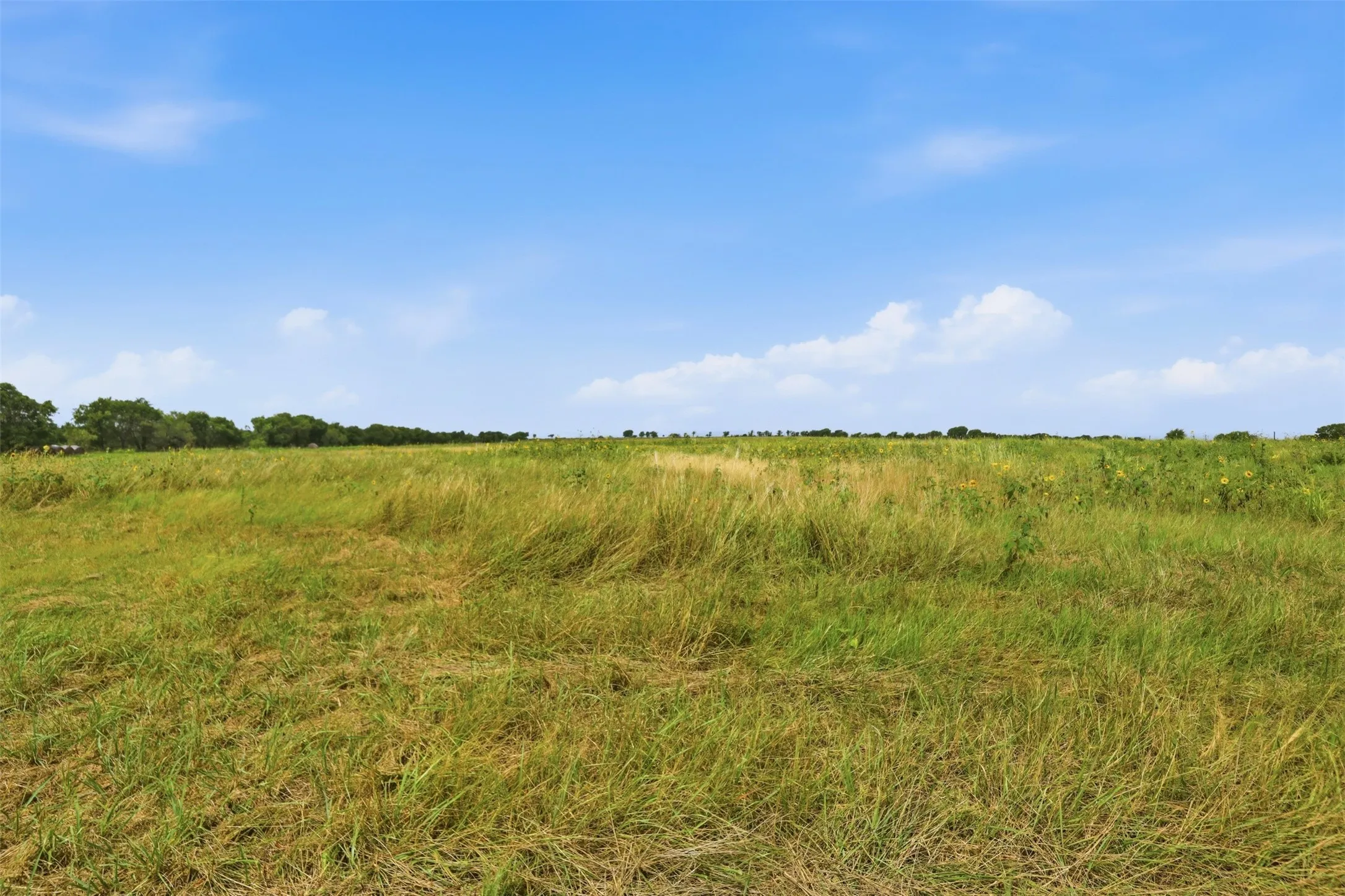 Improved Land For Sale in Johnson County , 7005 CR-302, Grandview, Texas 76050, 0, 0, Garage spaces, 0 Sqft, built in 0, mls#21324793, Real Estate Agent in Grandview, Homes For Sale in Johnson county, Homes For Sale in Grandview, Realtor in Grandview Texas, Real Estate Brokerage Independent Realty Texas, Luminita Cordes Realtor