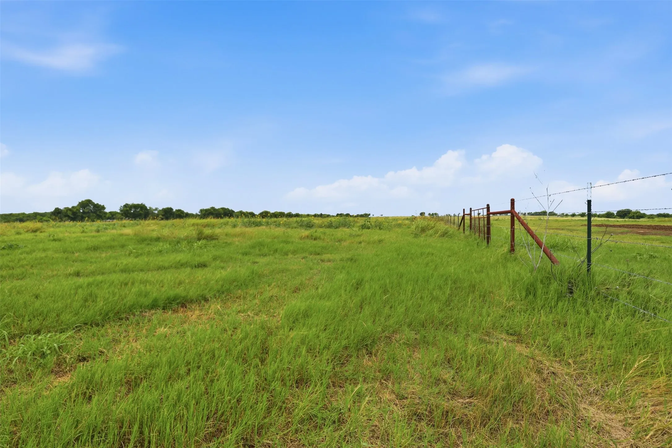 Fence on right side of property