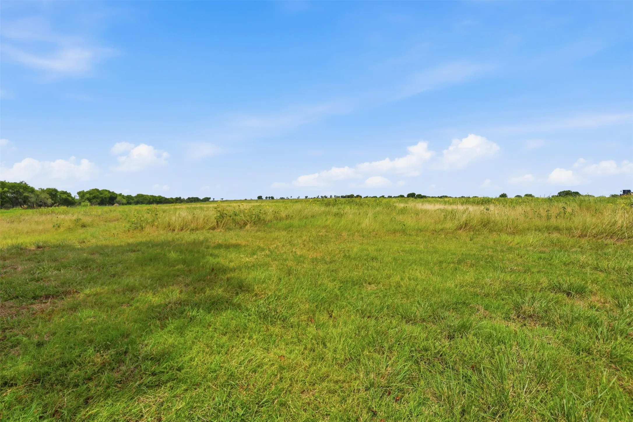 Improved Land For Sale in Johnson County , 7005 CR-302, Grandview, Texas 76050, 0, 0, Garage spaces, 0 Sqft, built in 0, mls#21324793, Real Estate Agent in Grandview, Homes For Sale in Johnson county, Homes For Sale in Grandview, Realtor in Grandview Texas, Real Estate Brokerage Independent Realty Texas, Luminita Cordes Realtor