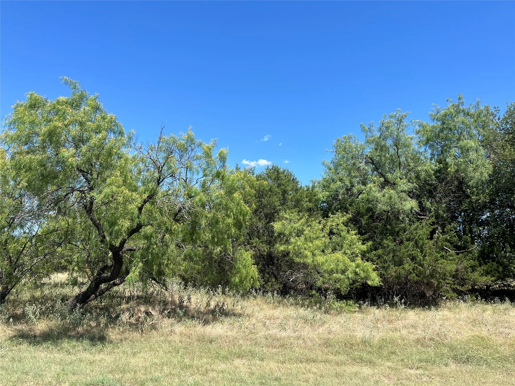 Unimproved Land For Sale in Hill County , 42143 Glen Eagles Drive, Whitney, Texas 76692, 0, 0, Garage spaces, 0 Sqft, built in 0, Price $13,500, mls#21328081, Real Estate Agent in Whitney, Homes For Sale in Hill county, Homes For Sale in Whitney, Realtor in Whitney Texas, Real Estate Brokerage Independent Realty Texas, Luminita Cordes Realtor