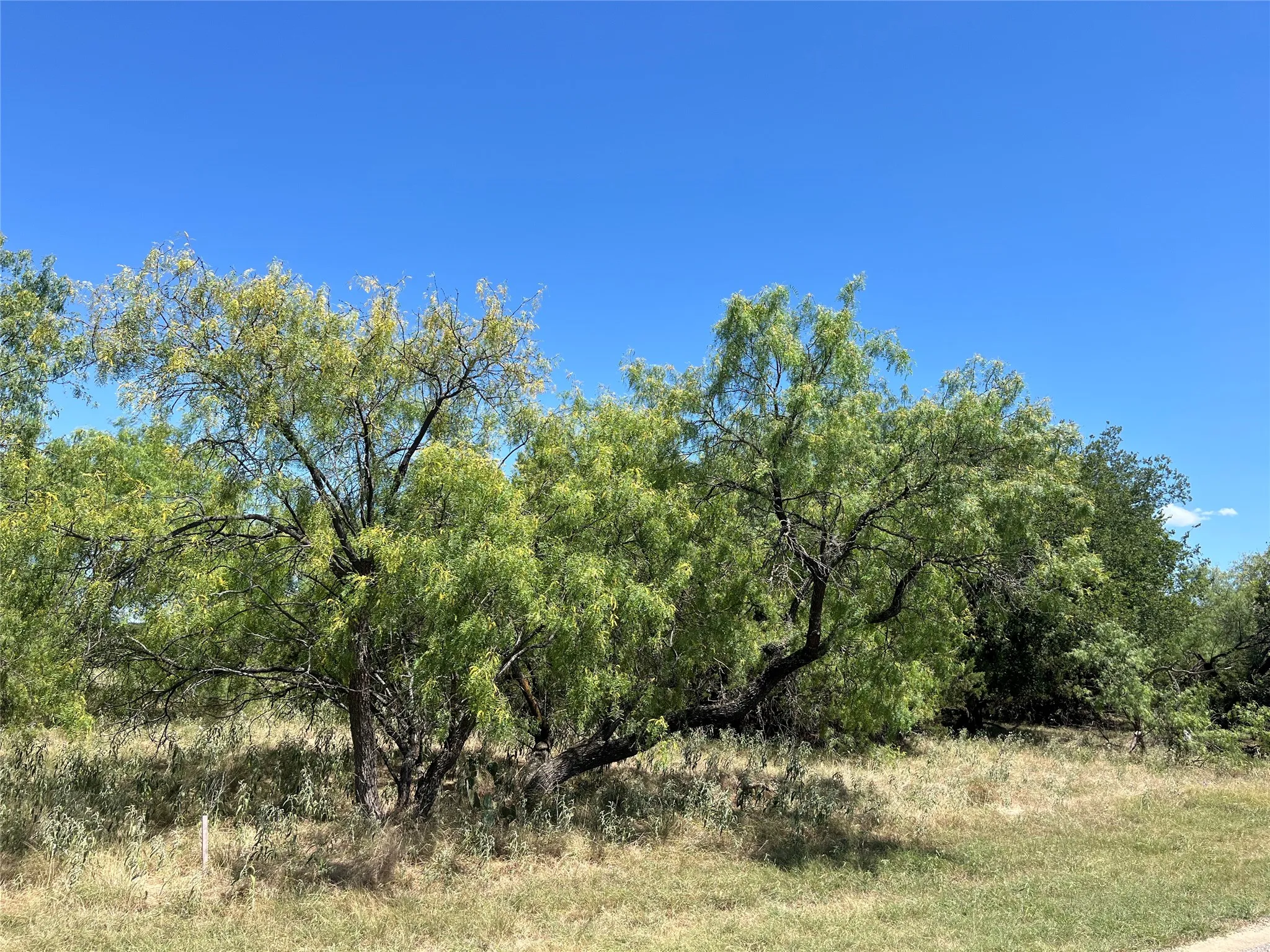 Unimproved Land For Sale in Hill County , 42143 Glen Eagles Drive, Whitney, Texas 76692, 0, 0, Garage spaces, 0 Sqft, built in 0, Price $13,500, mls#21328081, Real Estate Agent in Whitney, Homes For Sale in Hill county, Homes For Sale in Whitney, Realtor in Whitney Texas, Real Estate Brokerage Independent Realty Texas, Luminita Cordes Realtor