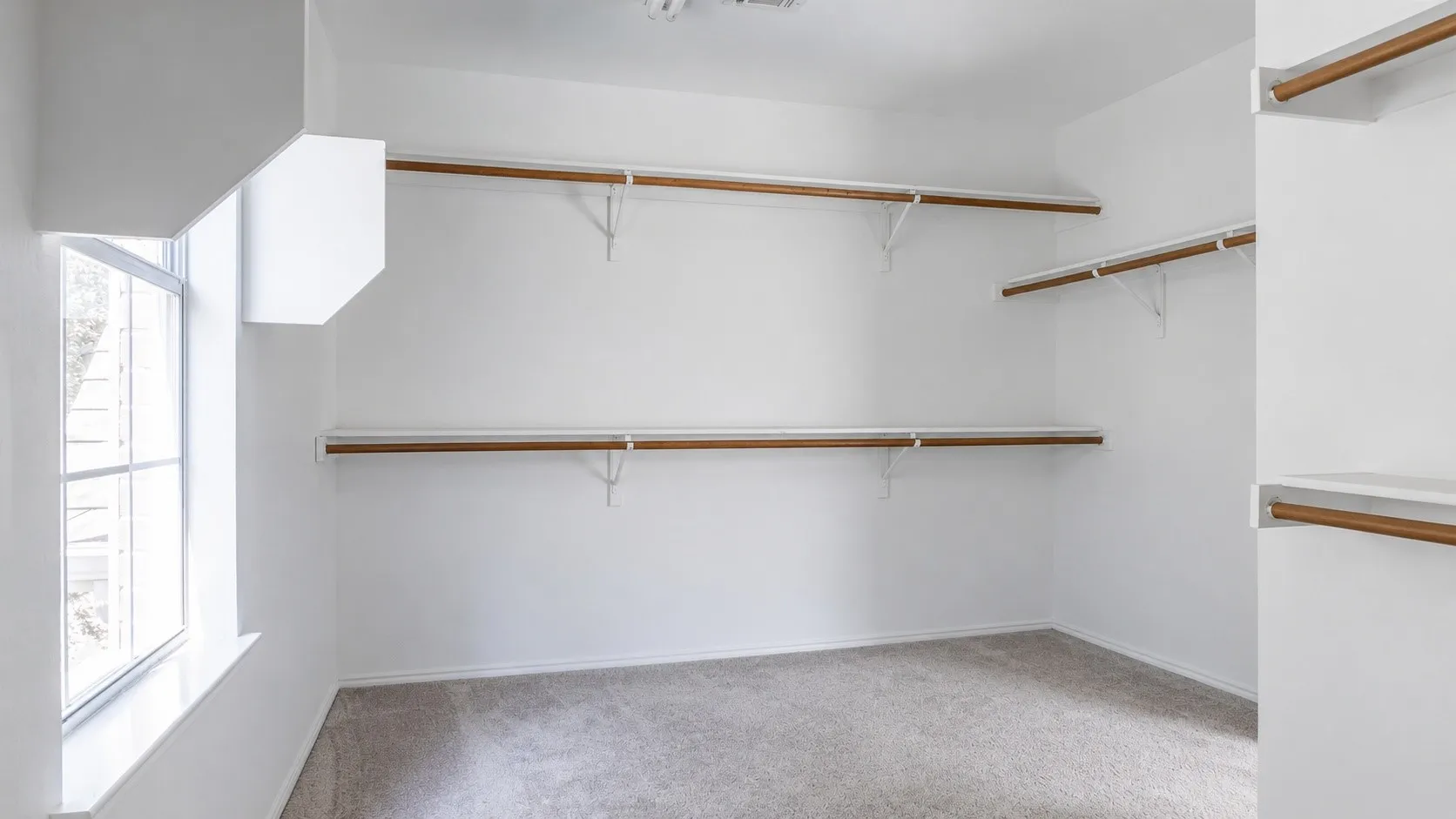Well-appointed closet space featuring light-colored carpeting, multiple shelving units, and a window with natural light