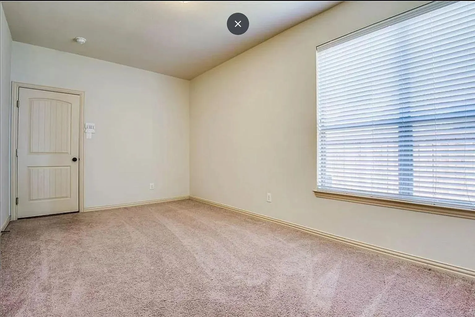 Carpeted interior room featuring a window with horizontal blinds, a panel door, and neutral wall paint